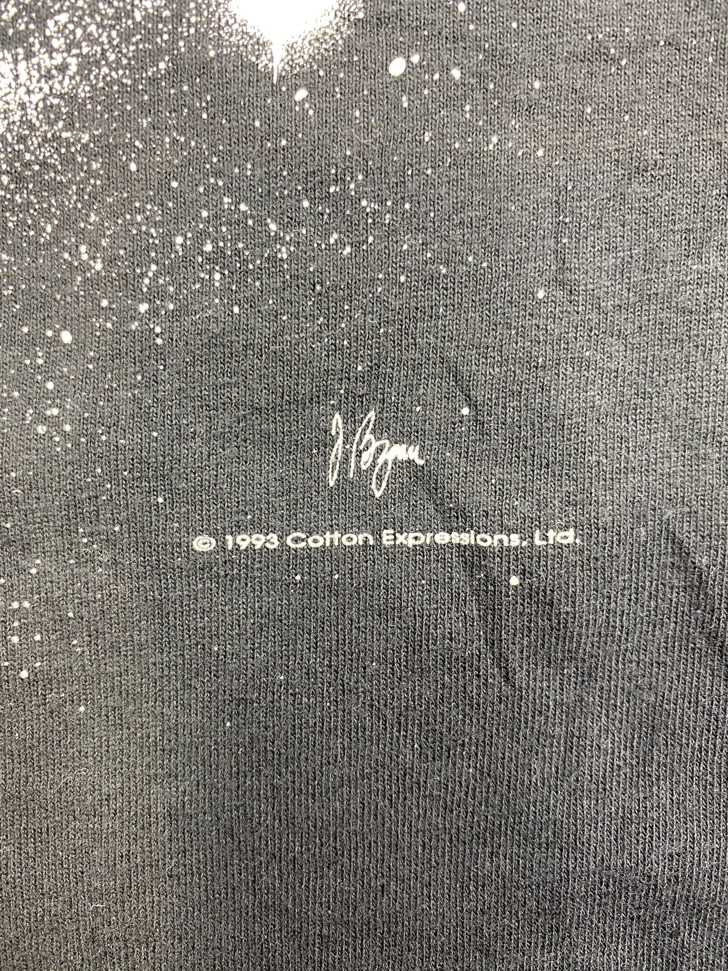 1993 Einstein Size XL Vintage T-Shirt / k4905