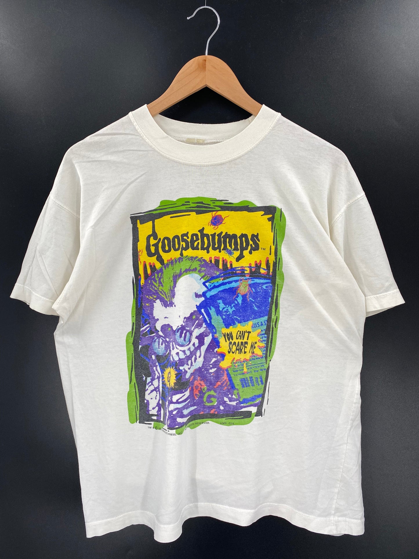 1995 GOOSE BUMPS Size No tag(Approx.L) Vintage T-Shirts / A6217