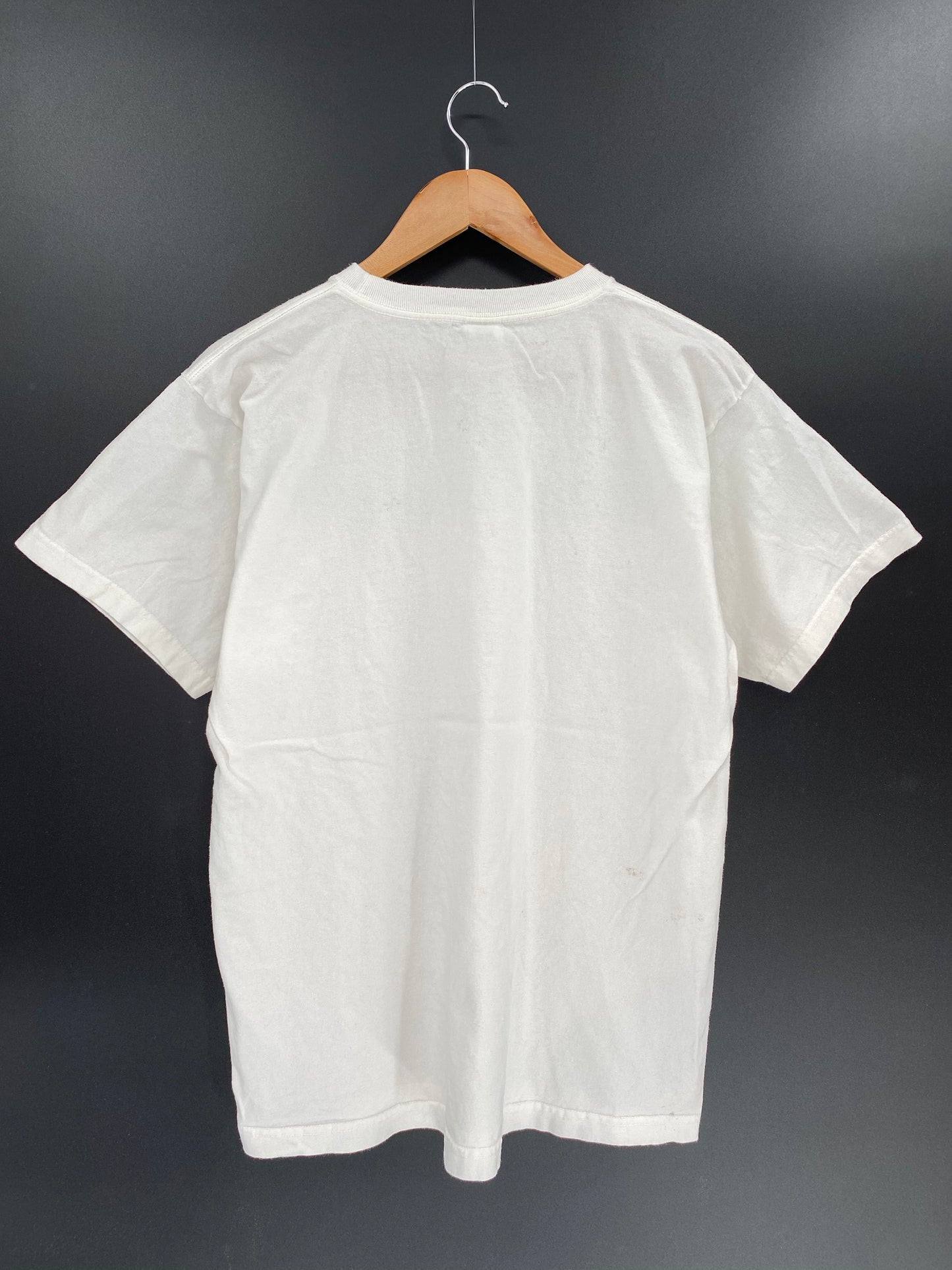 00’ PATAGONIA Made in USA Size M Vintage T-shirt  / 8135