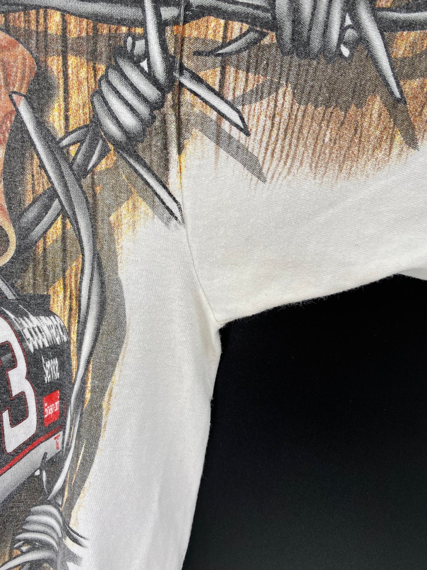 00’ NASCAR DALE EARNHARDT Size L Vintage Racing T-shirt / 9456