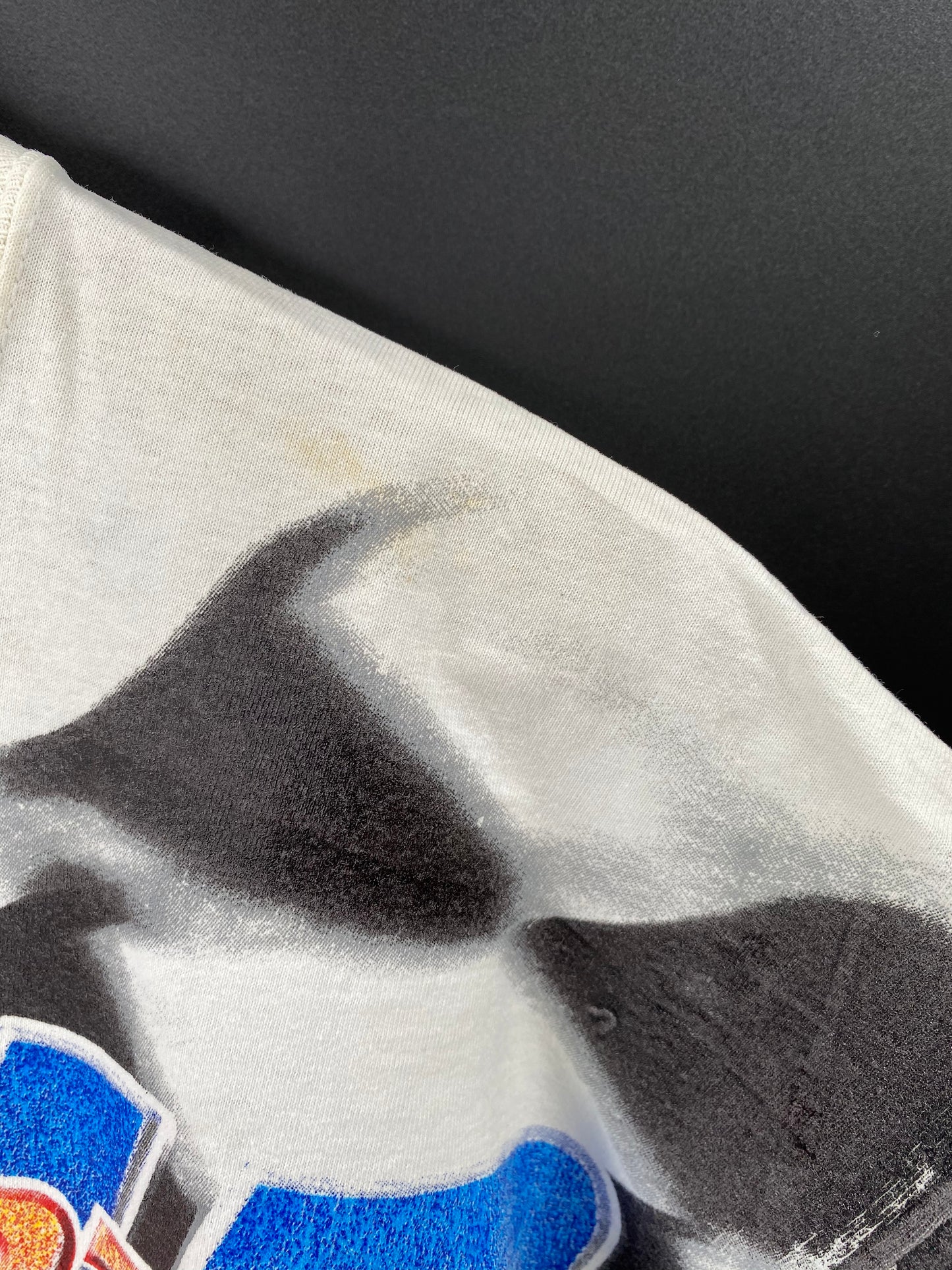 00’ NASCAR DALE EARNHARDT JR. Made in USA Size L Vintage Racing T-Shirt / 9123