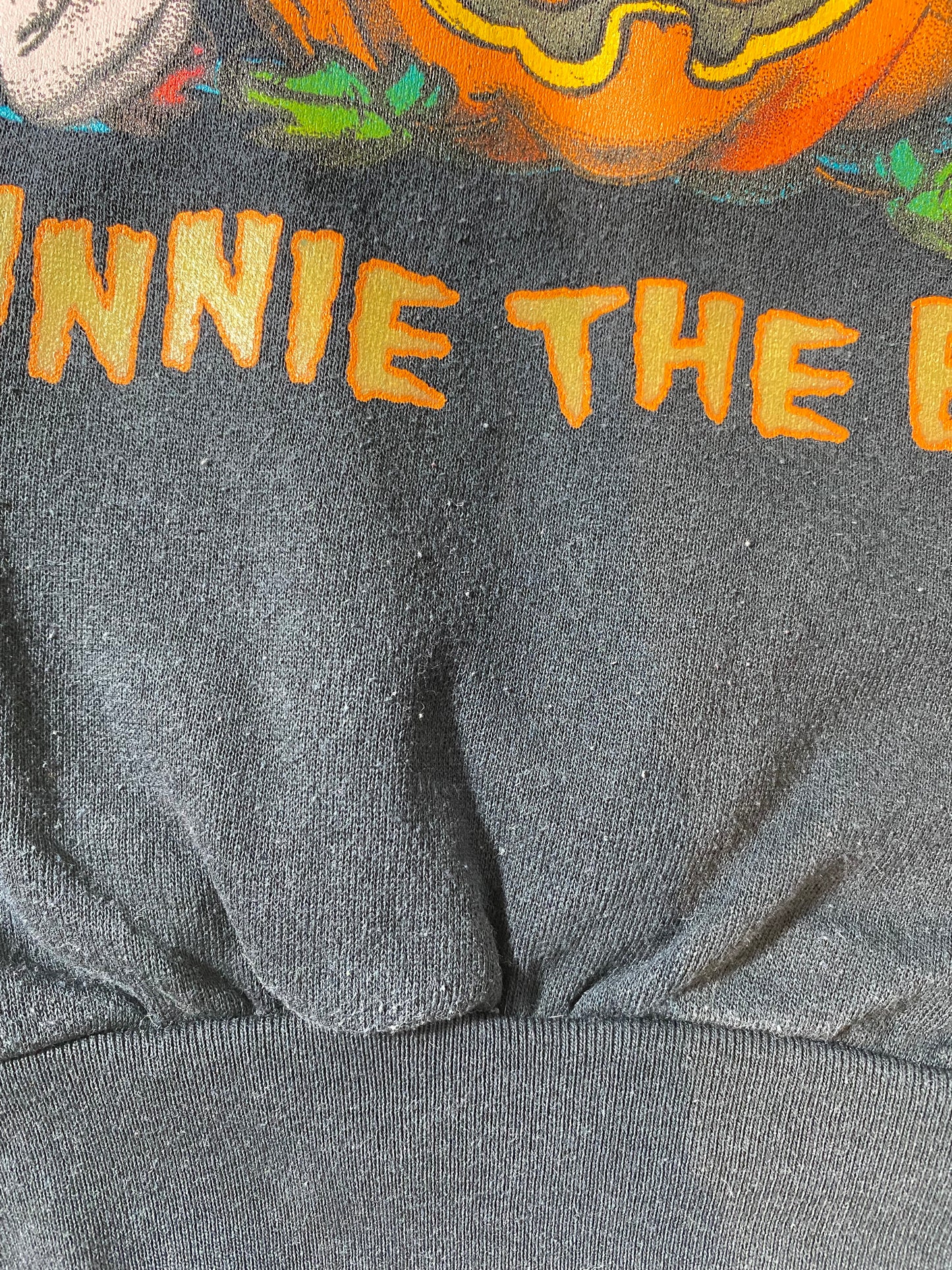 00’ DISNEY WINNIE THE POOH PIGLET Halloween Made in USA Size L-XL Vintage Sweat-shirt / K2355