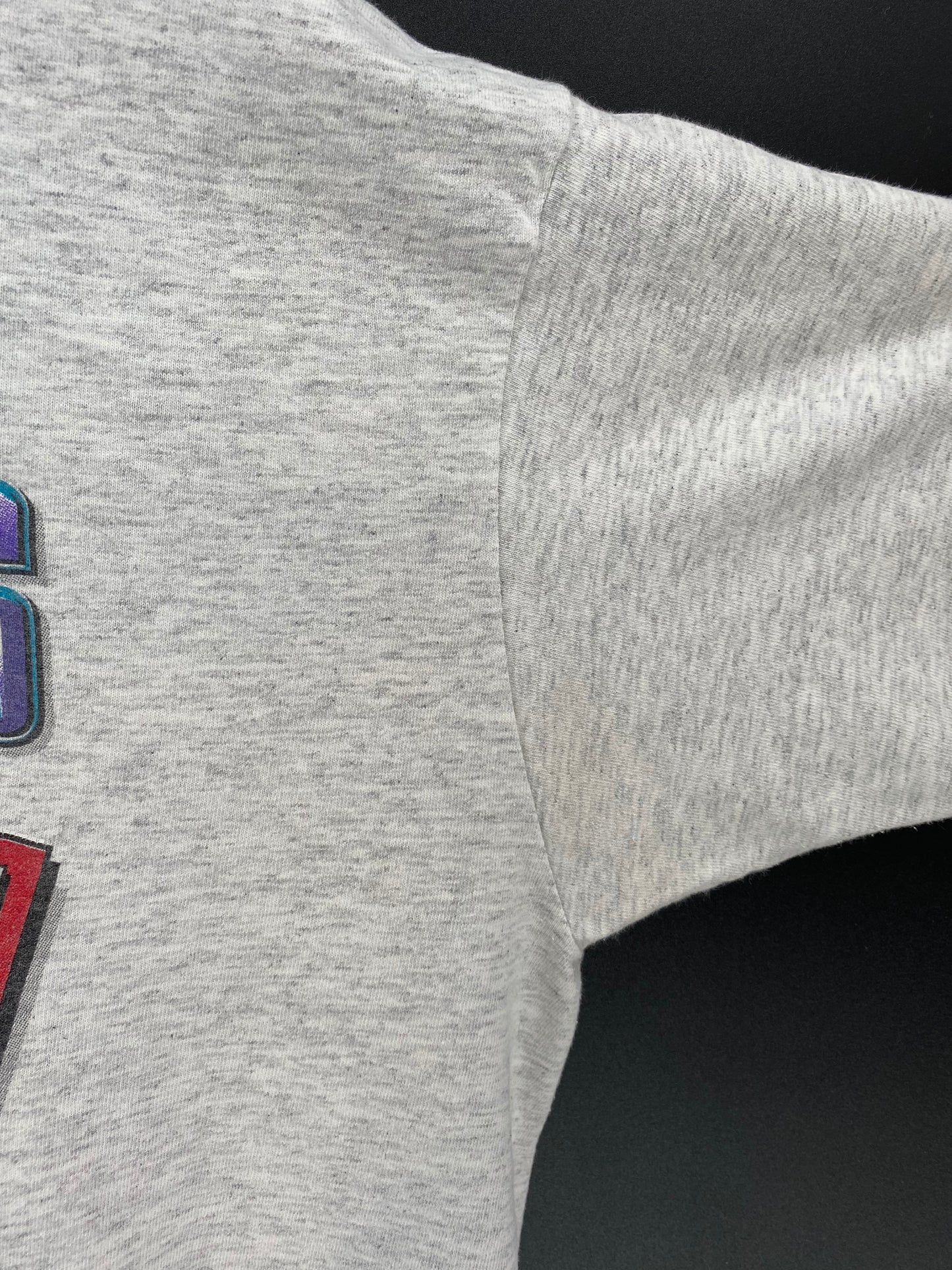 1995 NBA Playoffs CHARLOTTE vs CHICAGO BULLS Made in USA Size XL Vintage T-shirt / 9388