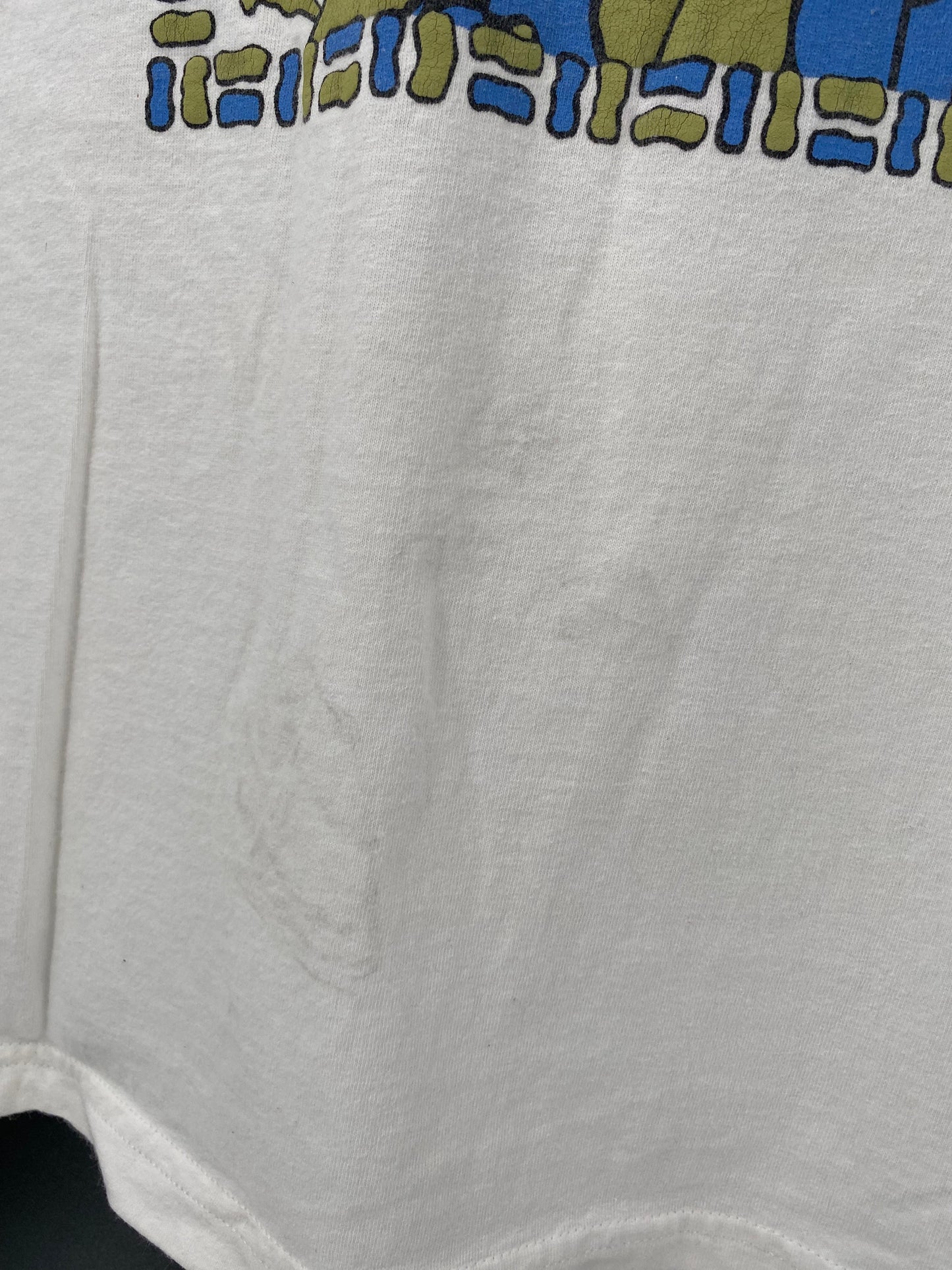 00’ DISNEY ANIMAL KINGDOM Made in USA Size XXL Vintage T-Shirts / A1404