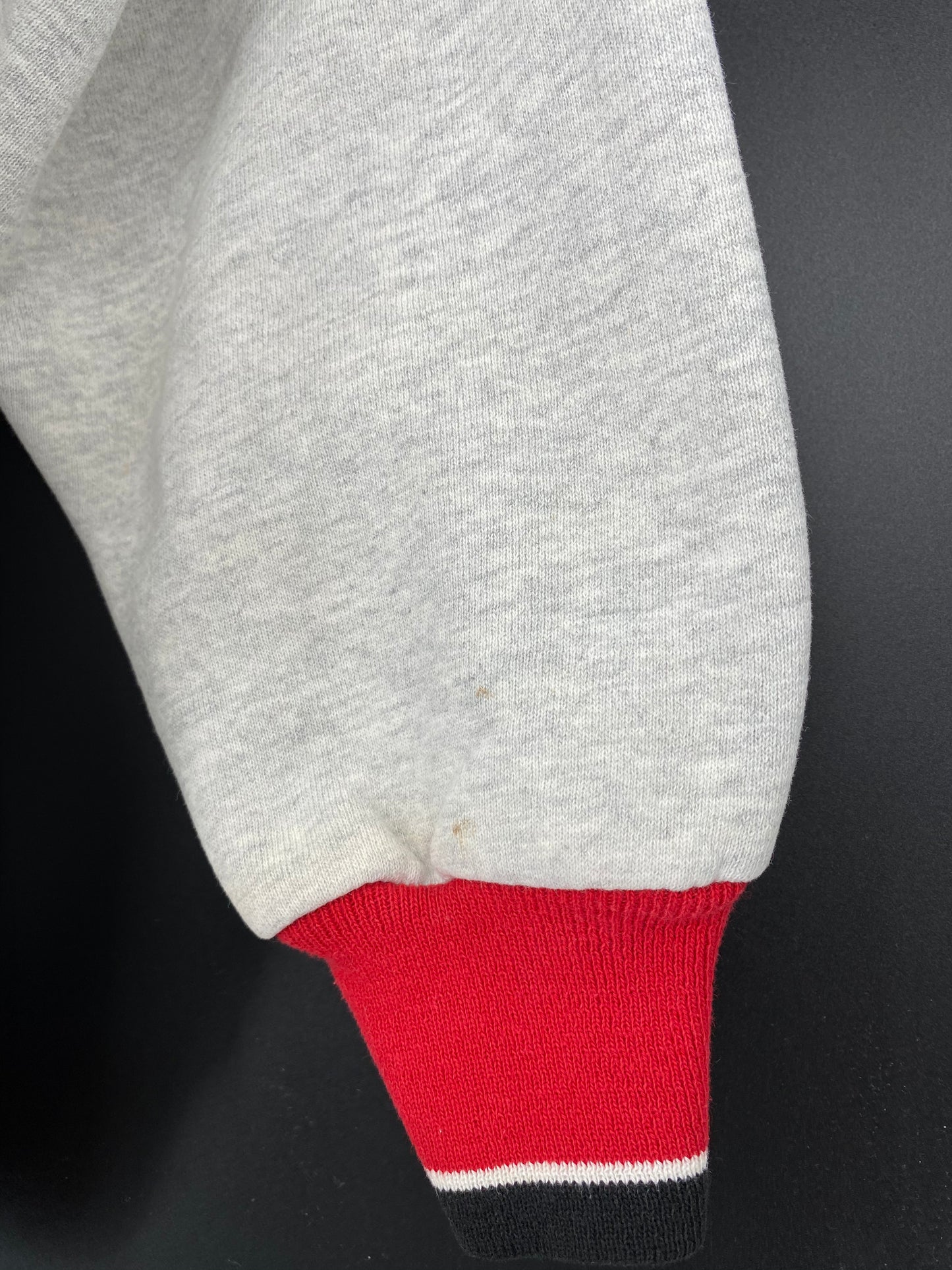 1995 RED WINGS STANLEY CUP Made in USA Size XL Vintage NFL Sweat-shirt / 8989