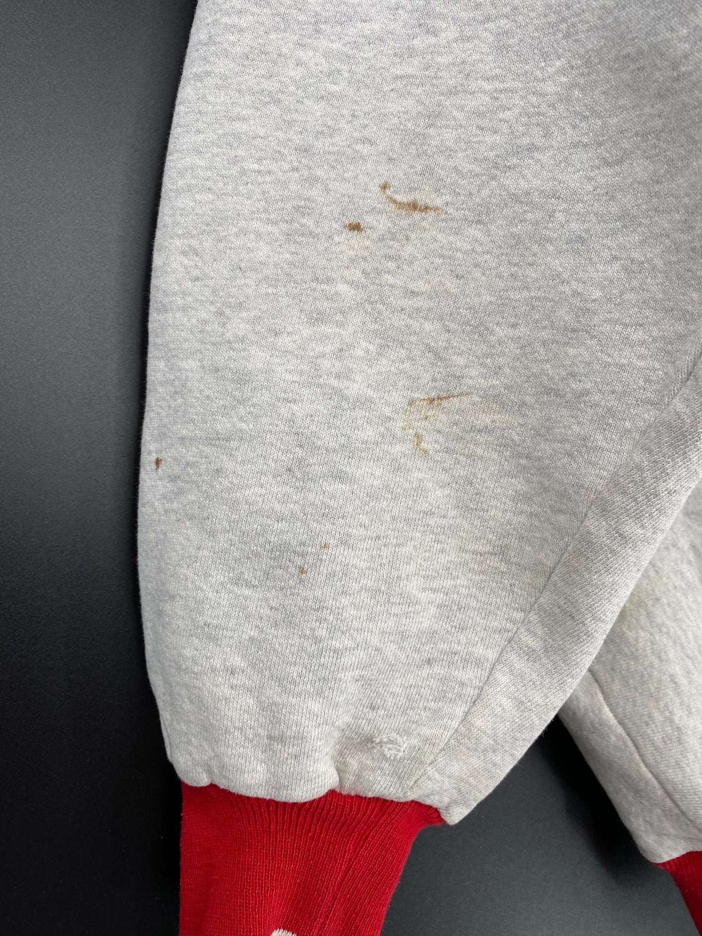 1995 RED WINGS STANLEY CUP Made in USA Size XL Vintage NFL Sweat-shirt / 8989