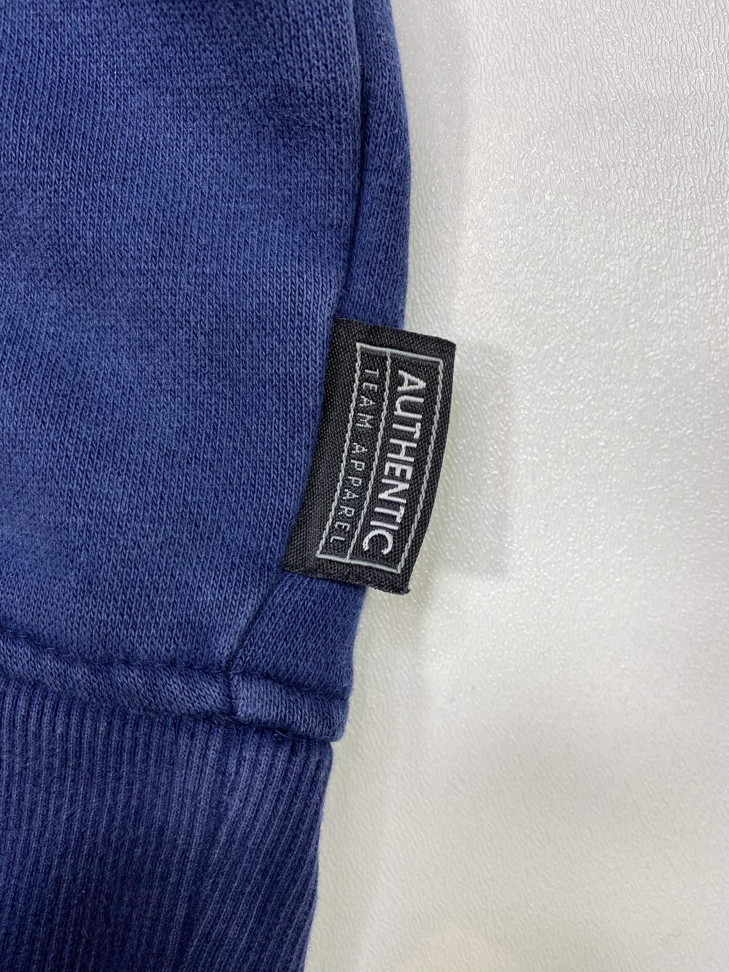 00’ NIKE MICHIGAN Vintage Hoodie Sweat-Shirt / 5161