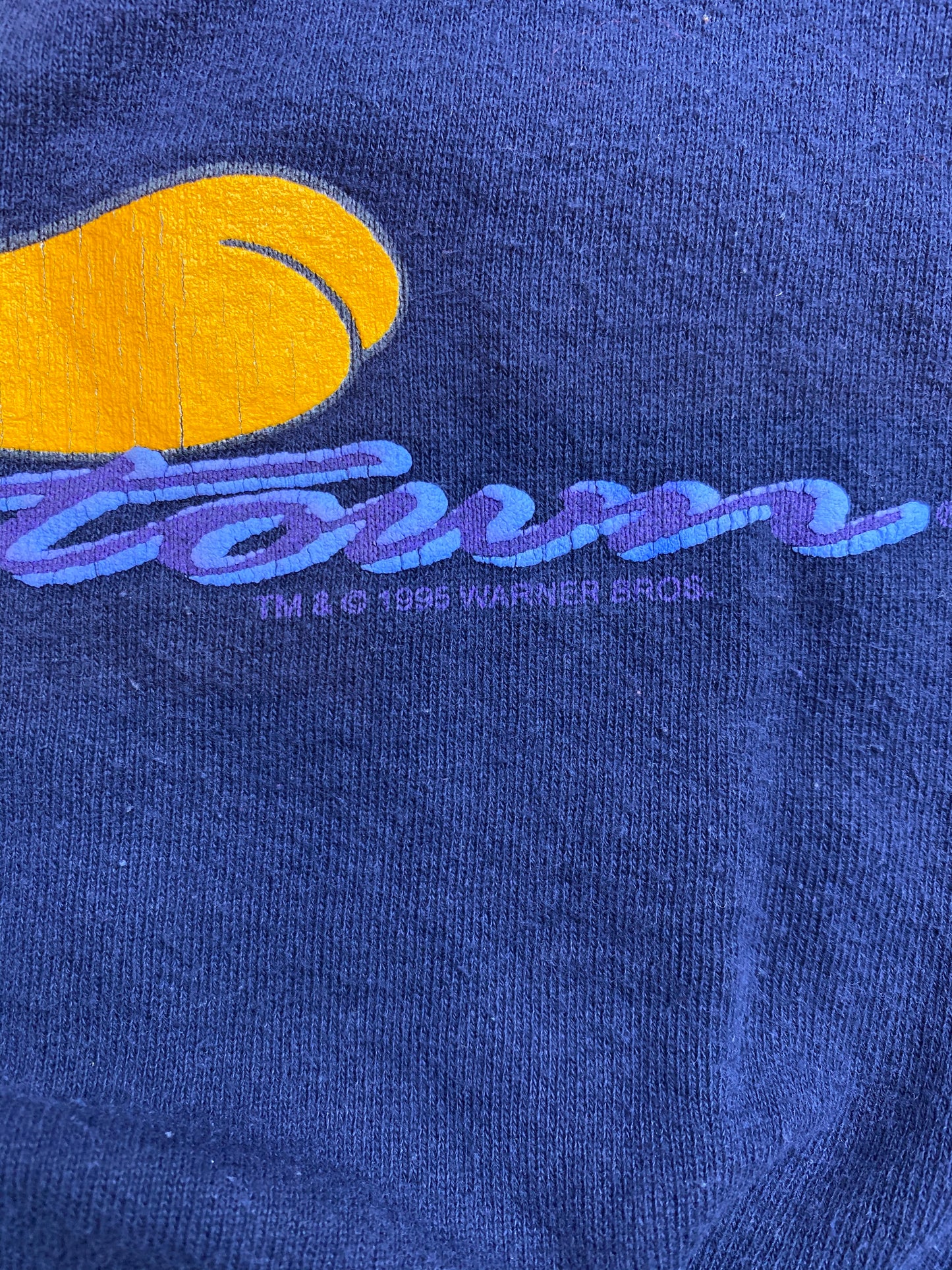1995 Looney Tunes Tweety Size Approx.L Vintage Sweat-Shirt / 5429