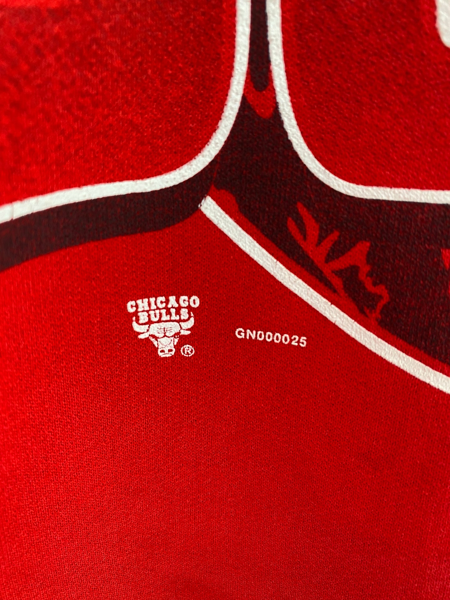 1993 CHICAGO BULLS Made in USA Size XL Vintage NBA Hoodie Sweat-Shirt / K3438