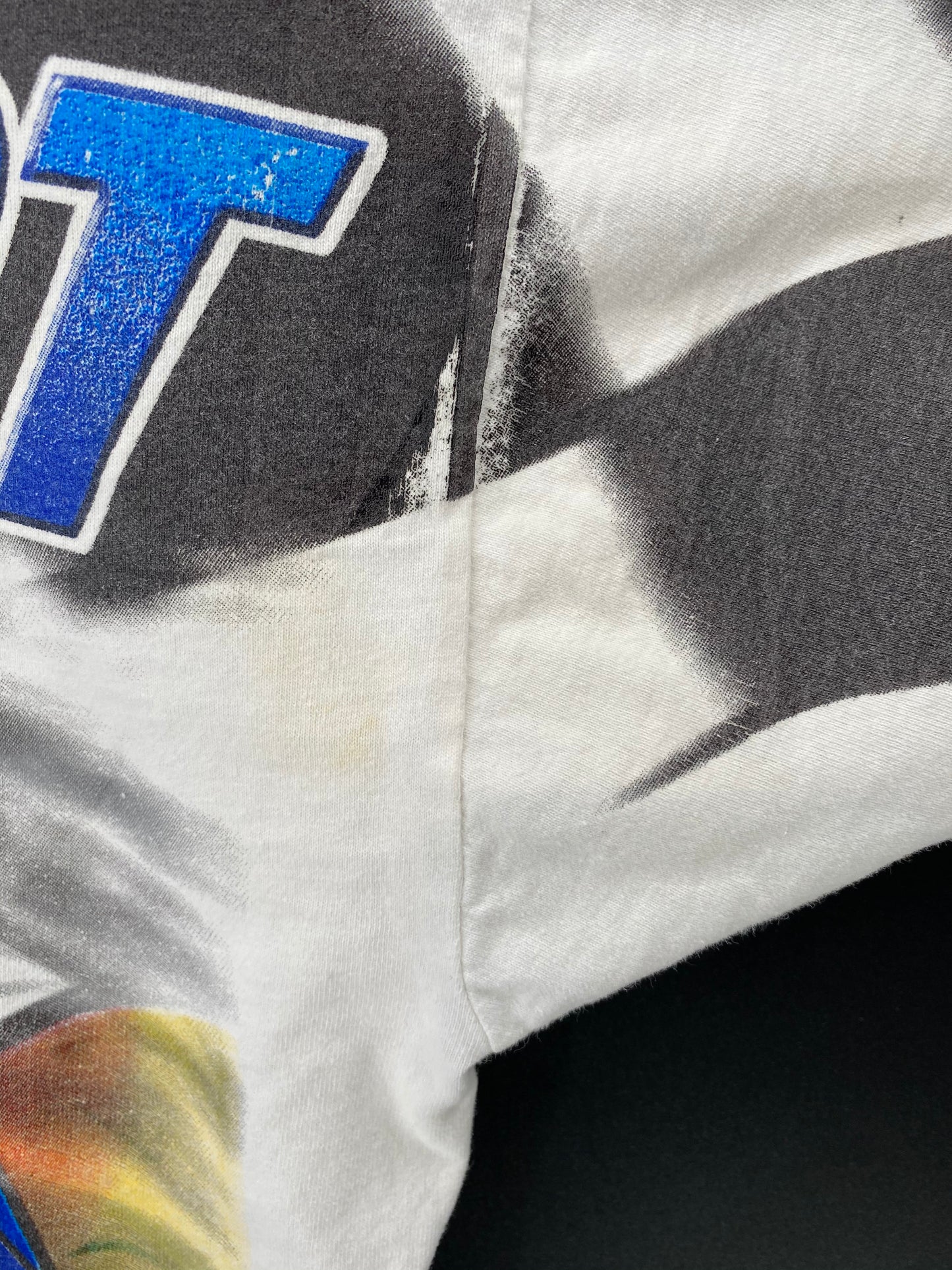 00’ NASCAR DALE EARNHARDT JR. Made in USA Size L Vintage Racing T-Shirt / 9123