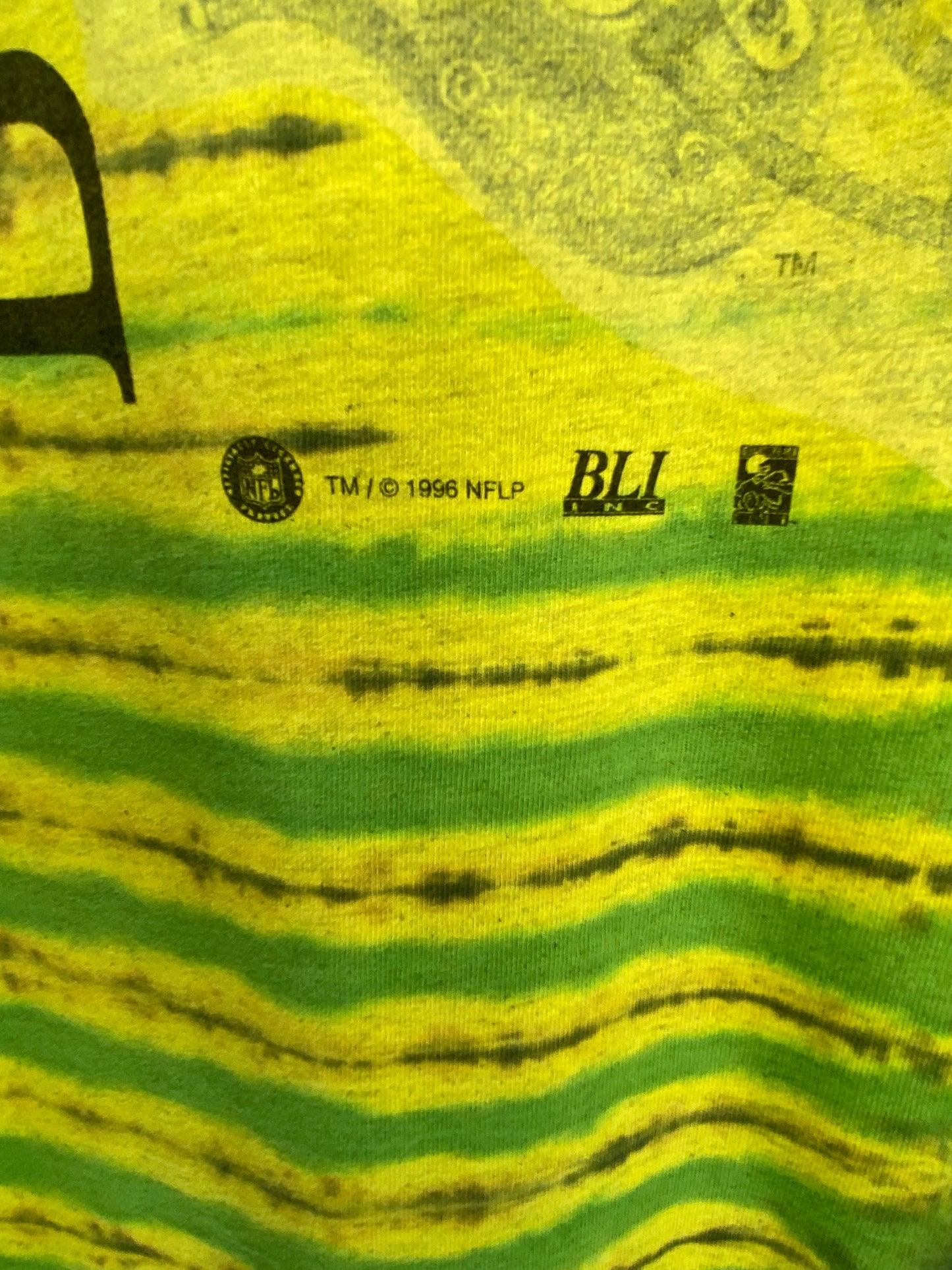 Vintage GREEN BAY PACKERS Brett Favre Size XL NFL T-Shirt / K9686