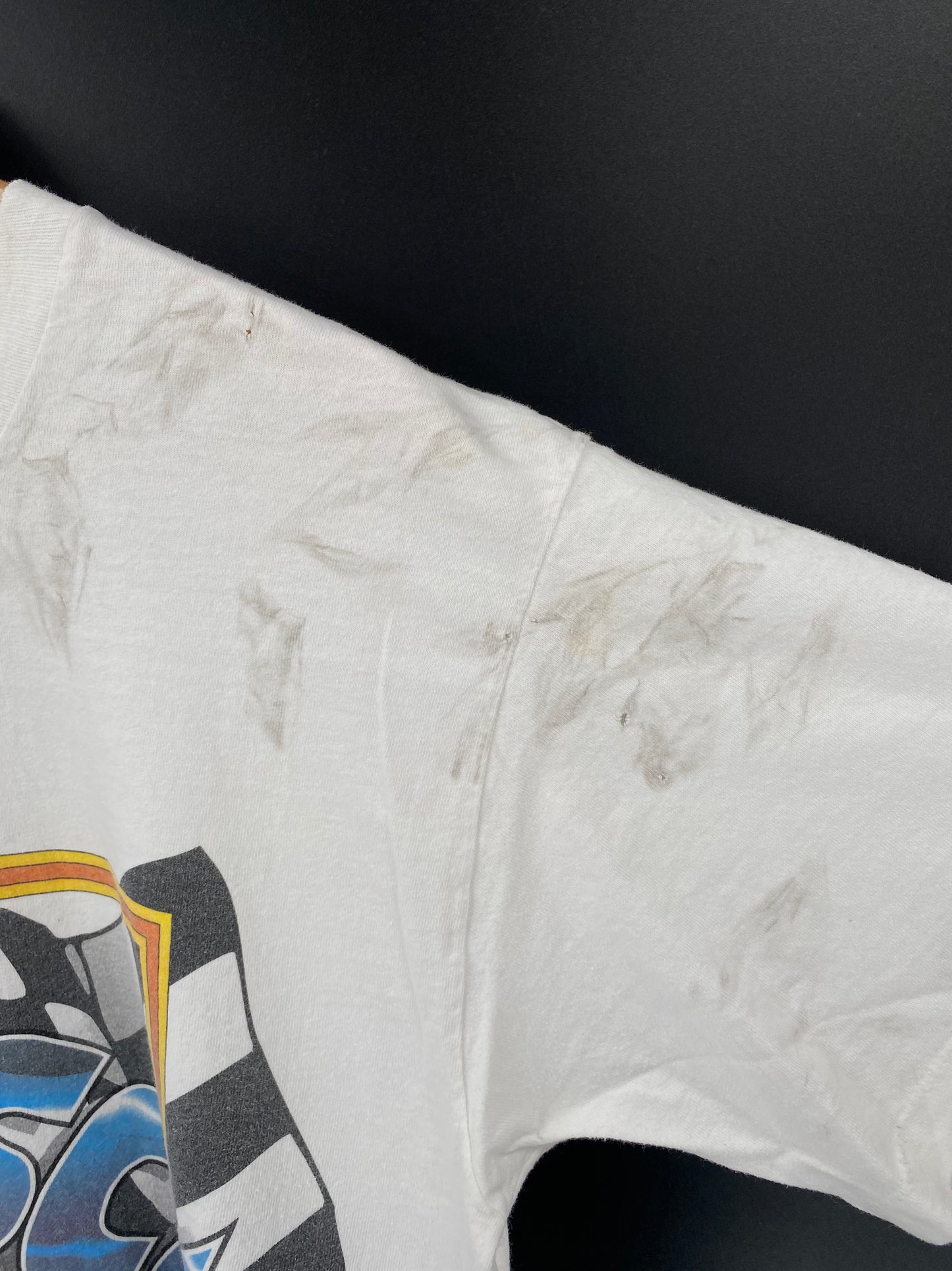 1995 NASCAR x LOONEY TUNES TAZ No tag Approx. Size XL Vintage Racing T-Shirt / K1953