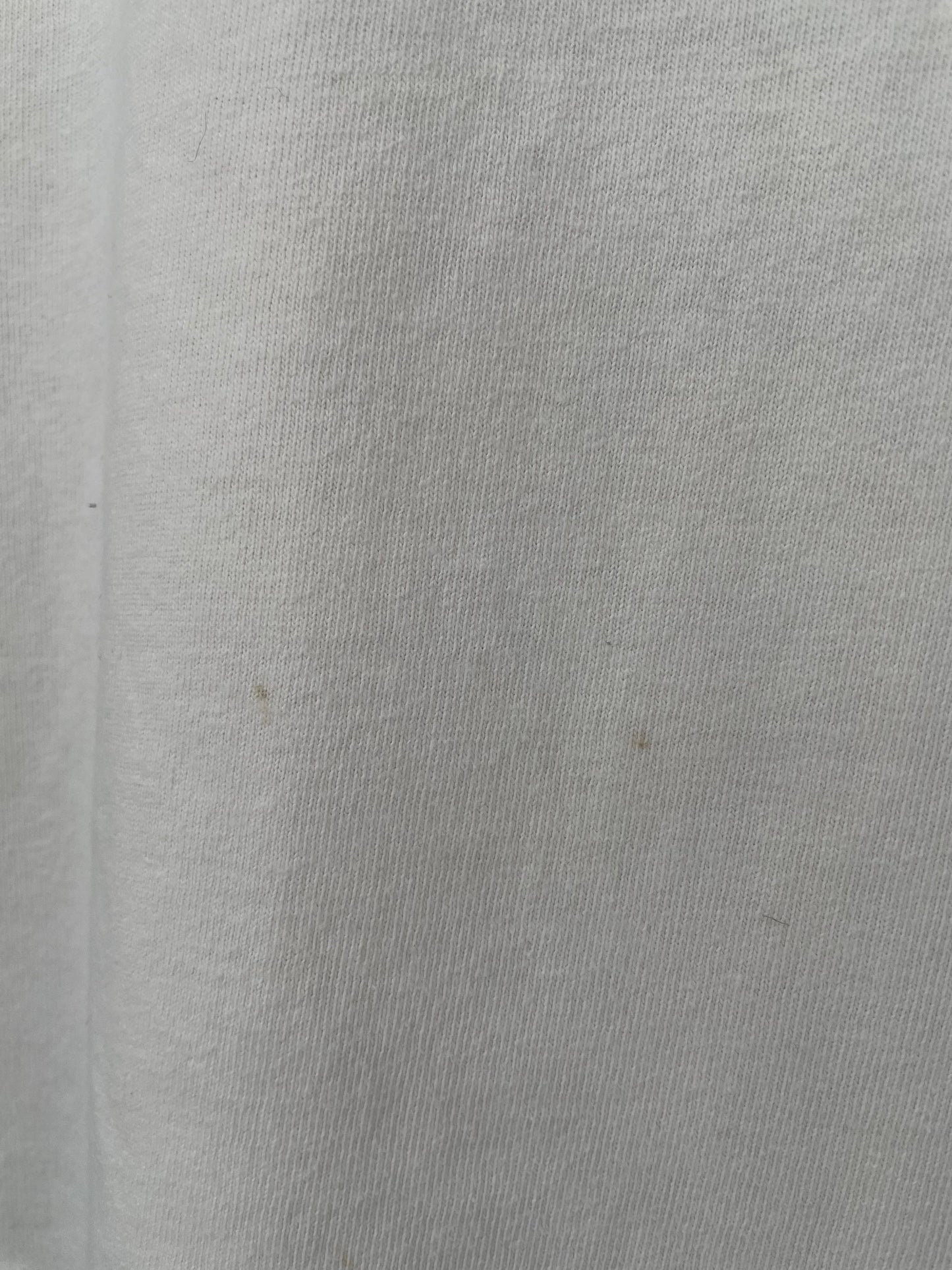 1994 MIAMI DOLPHINS x Champion (No tag) Approx. Size L Vintage NFL T-shirt / A6119