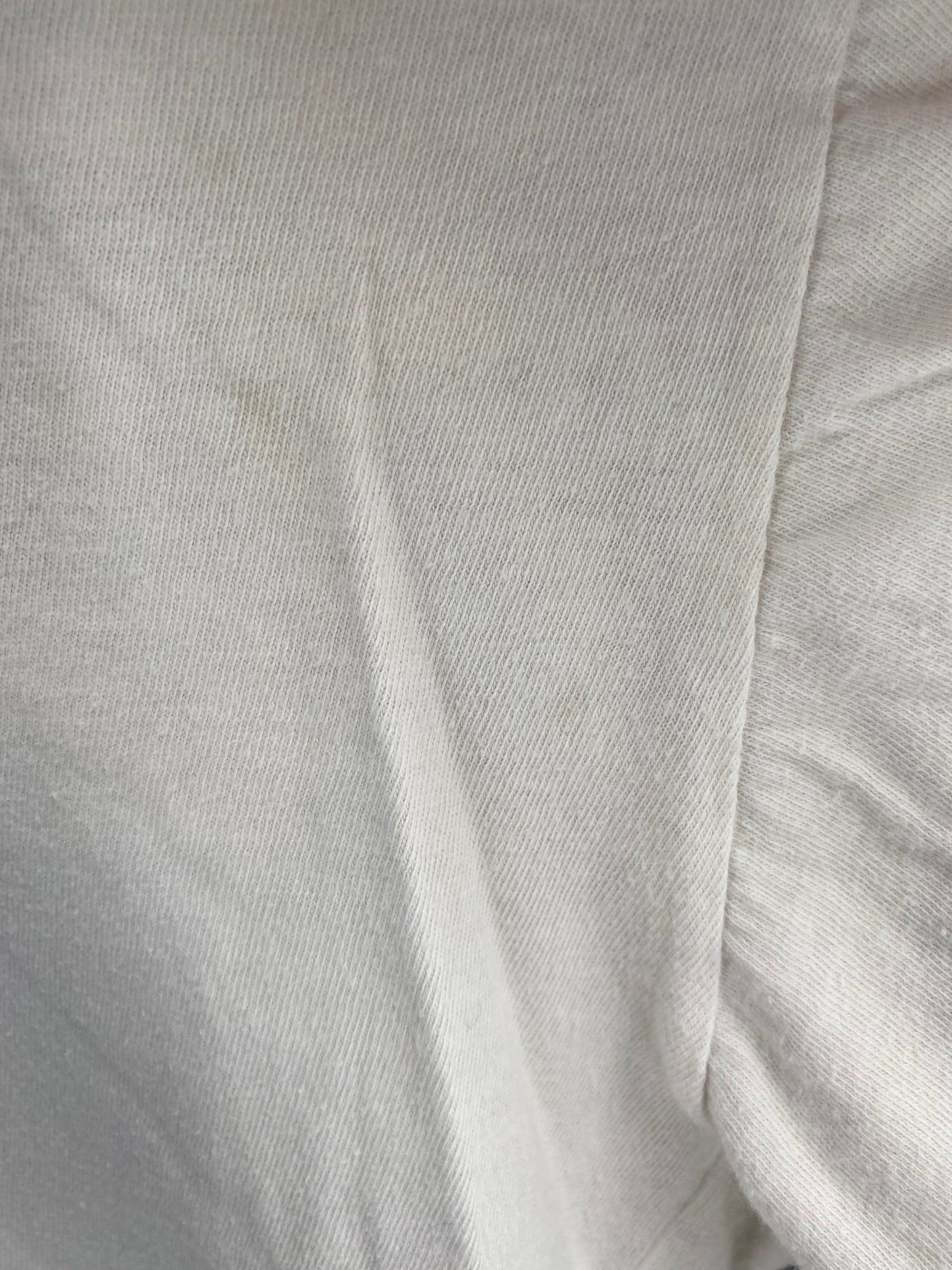 90’s ANAHEIM MICHTY DUCKS Size XL NHL Long Sleeve T-Shirts / K3956