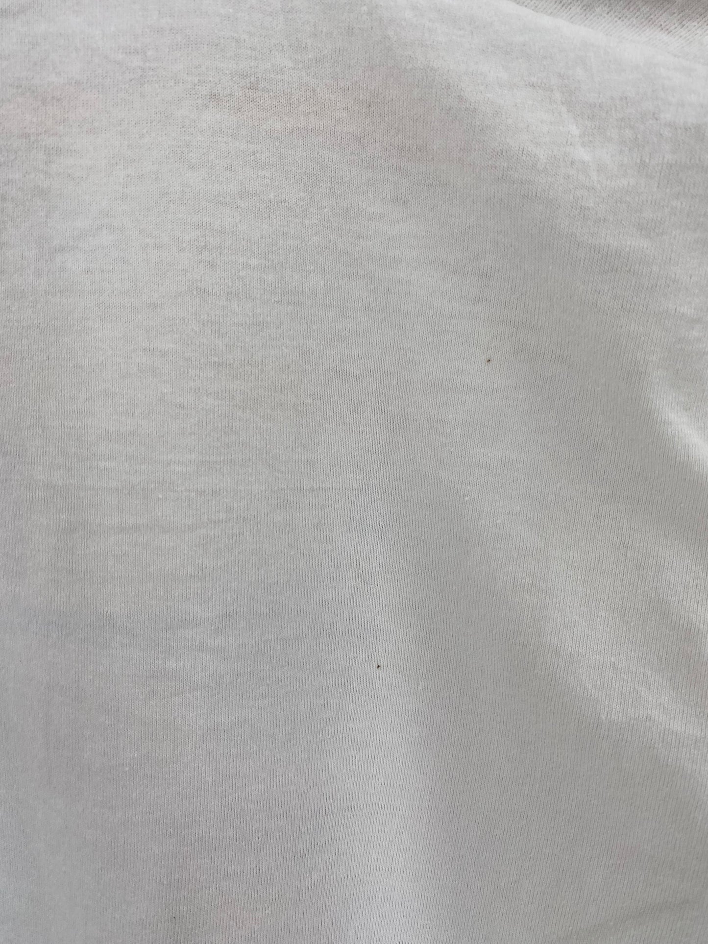 1993 CHICAGO BULLS Made in USA Size L Vintage NBA T-shirt /  9539