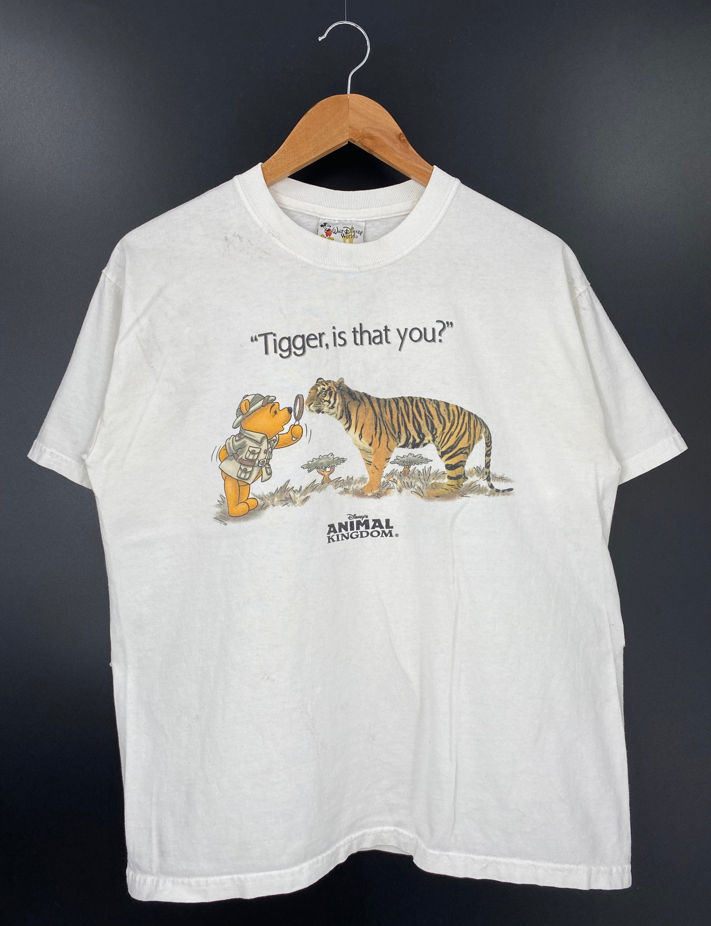 00' DISNEY ANIMAL KINGDOM Size S Vintage T-Shirts / A3145