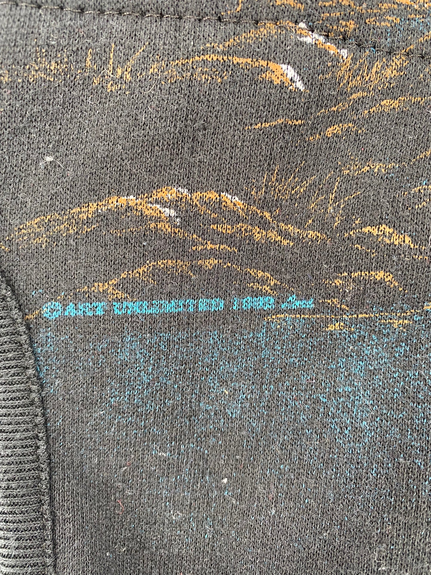 1992 ALASKA EAGLES Made in USA Size M Vintage Button Down Sweat-shirt / A3017