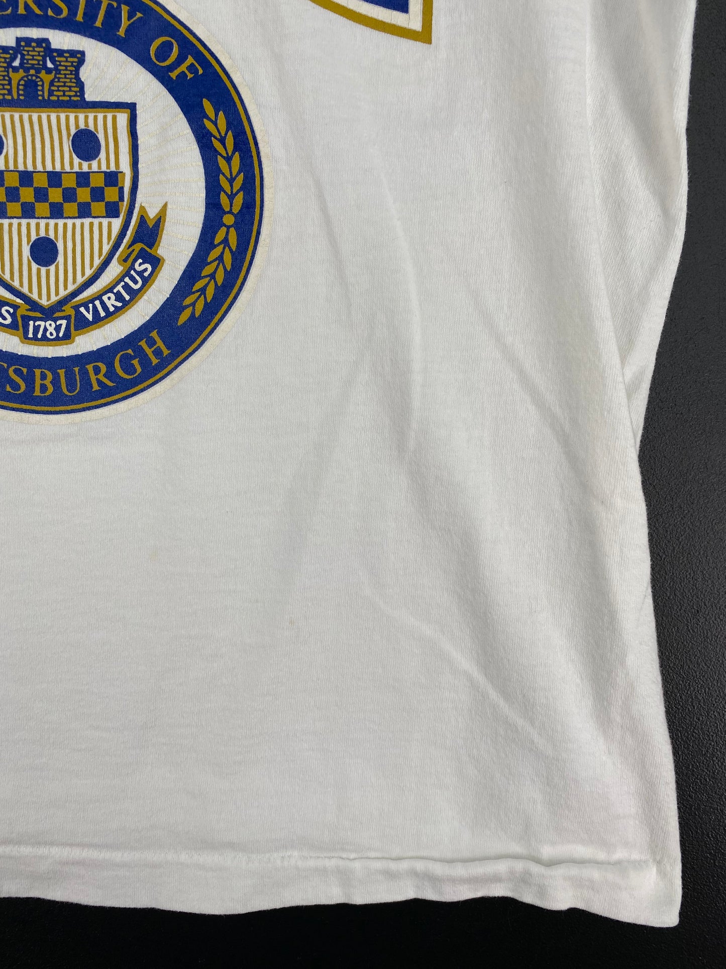 90's UNIVERSITY OF PITTSBURGH Size L Vintage College T-Shirt / A3107