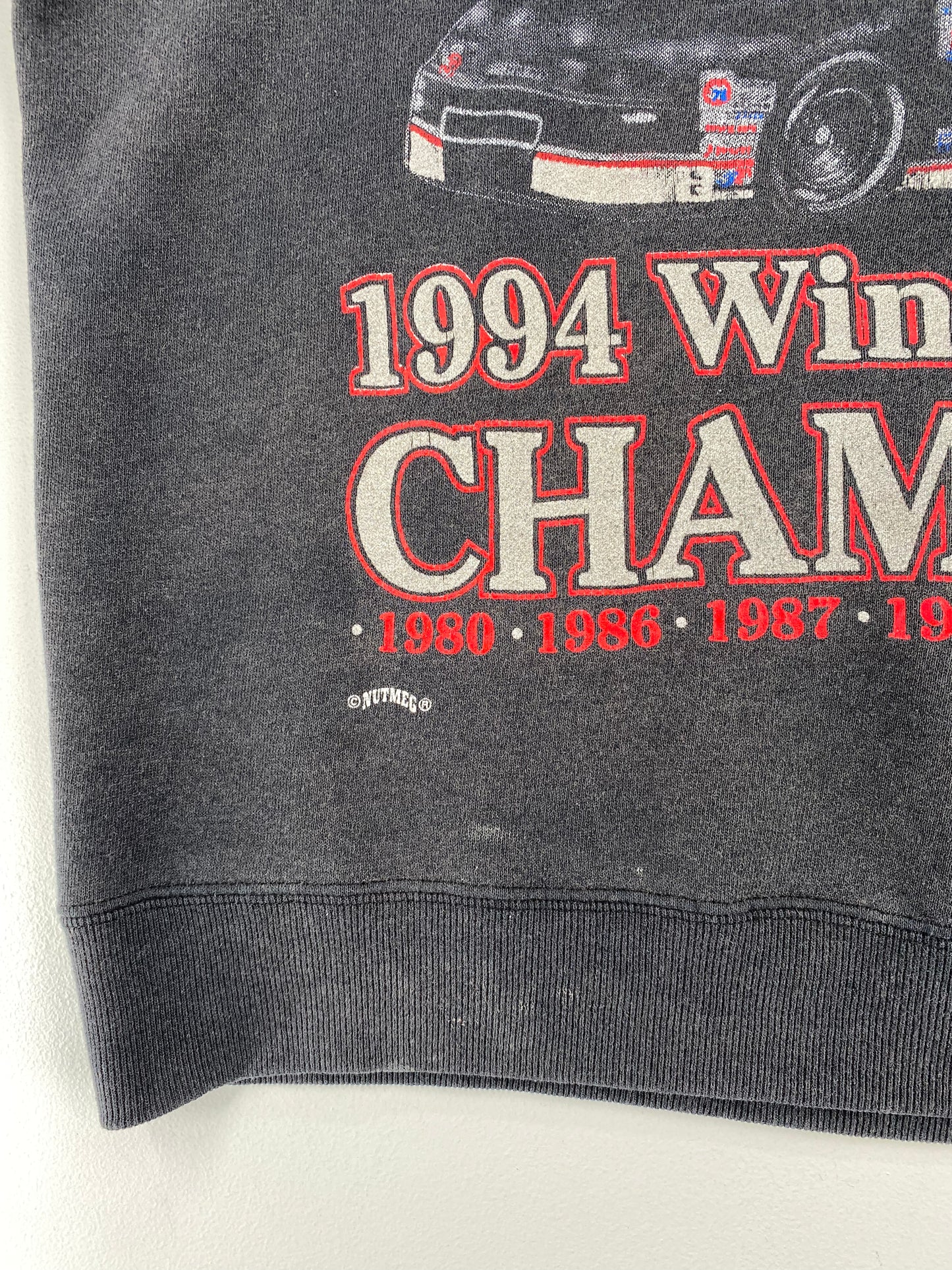 1994 NASCAR DALE EARNHARDT Made in USA Size L Vintage Racing Sweat-shirt / A3185