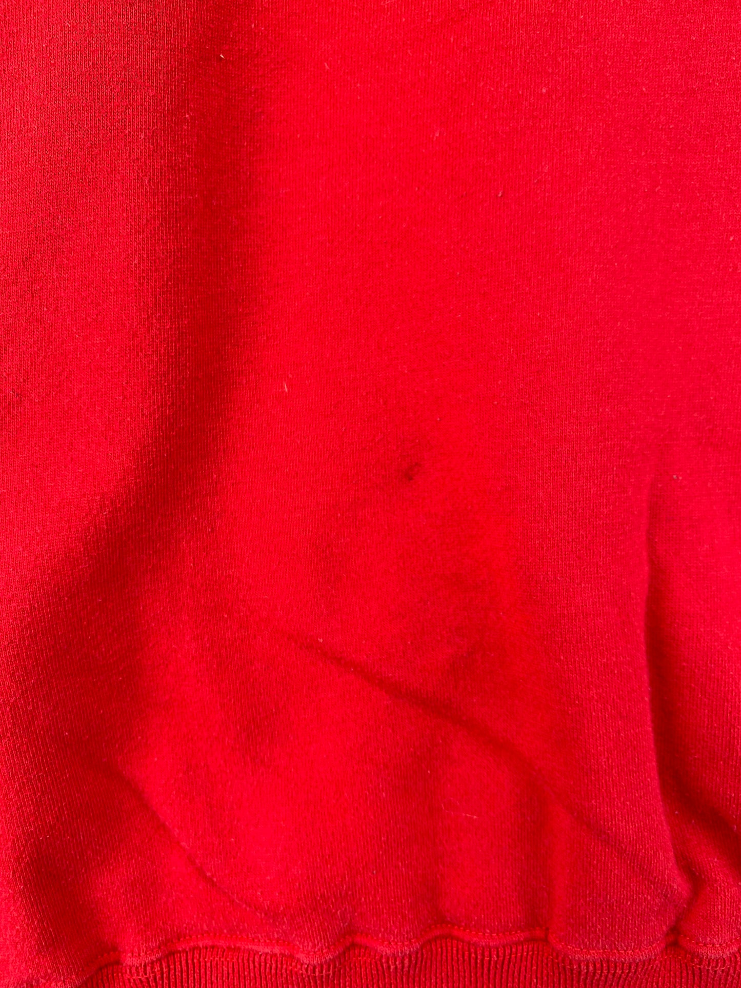 00’ NASCAR DALE EARNHARDT JR Size L Vintage Racing Sweat-Shirt / A2979