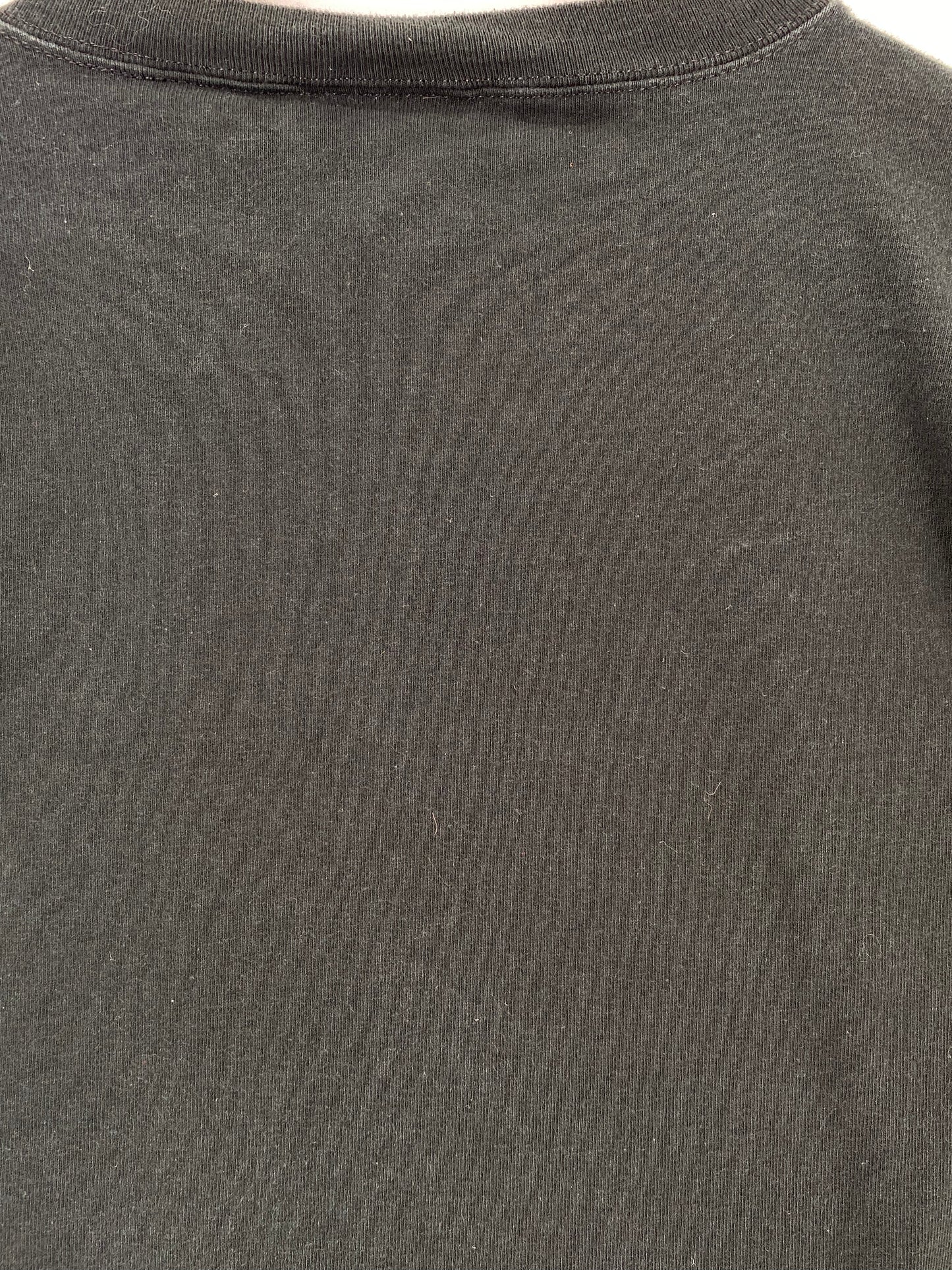 2000 MINNESOTA VIKINGS Made in USA Size XL Vintage NFL T-Shirt / A1770