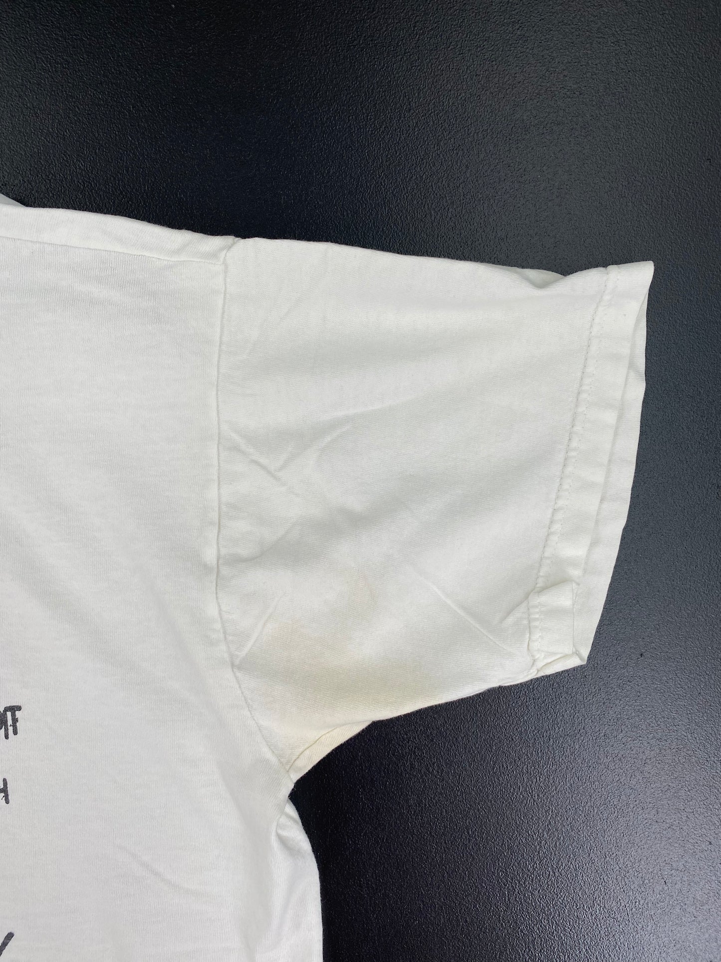 2000 BLINK 182 Size XL Vintage Music T-Shirt / A2062