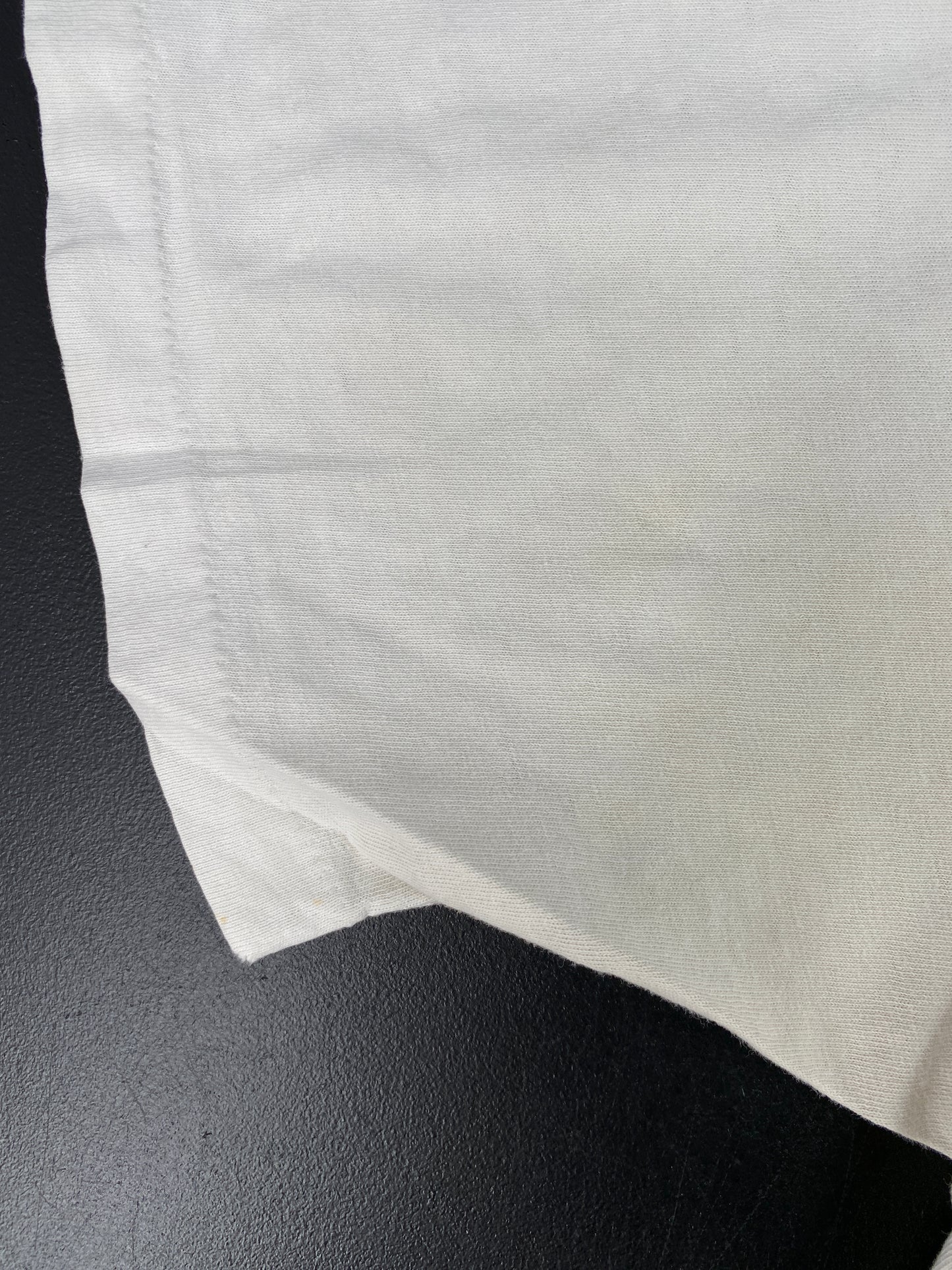 1993 LIQUID BLUE x GRATEFUL DEAD Made in USA Size L Vintage Music T-shirt / A6676