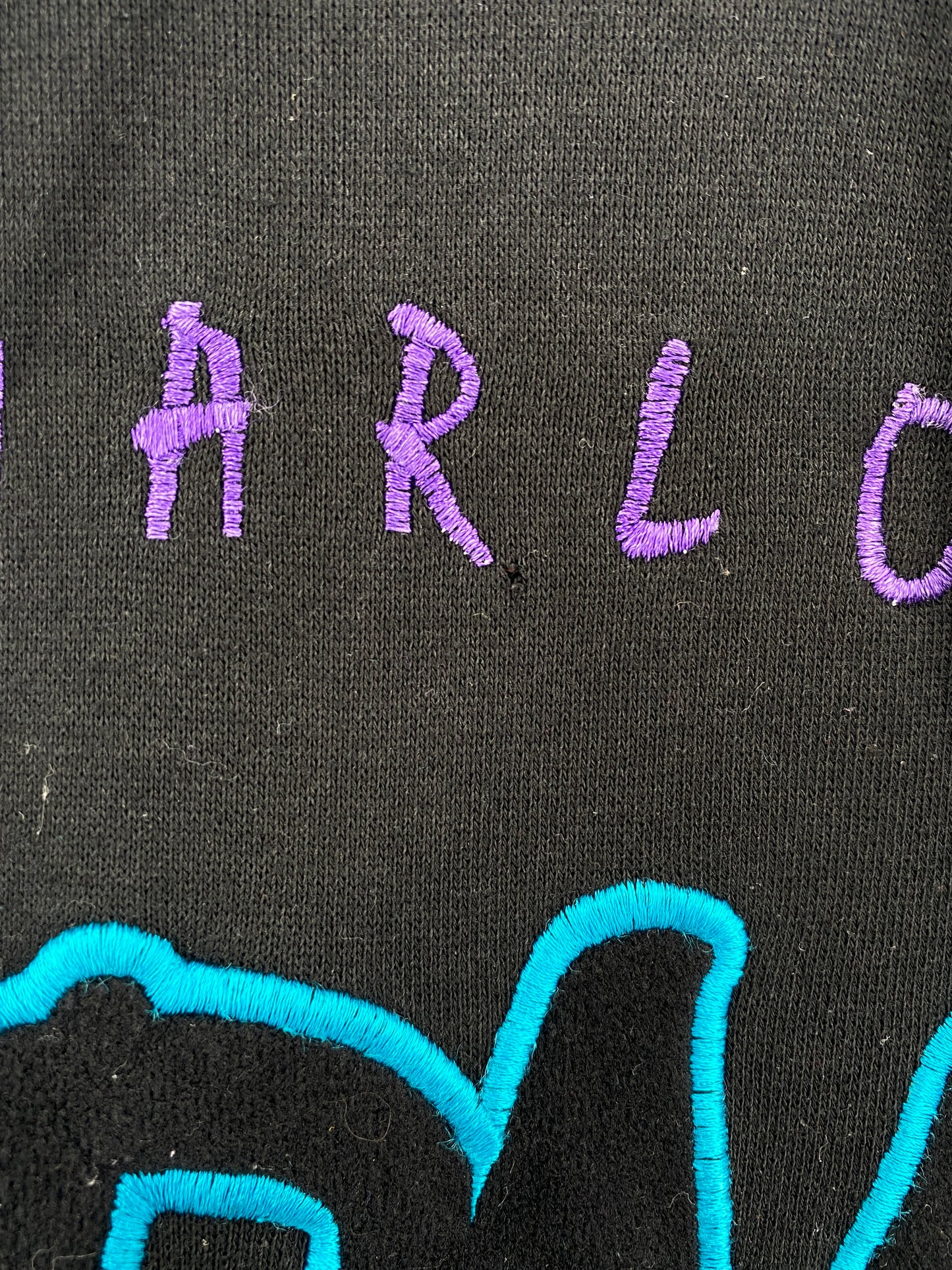 90’s STARTER x CHARLOTTE HORNETS Size L Vintage NBA Double Hoodie Sweat-shirt / A6936