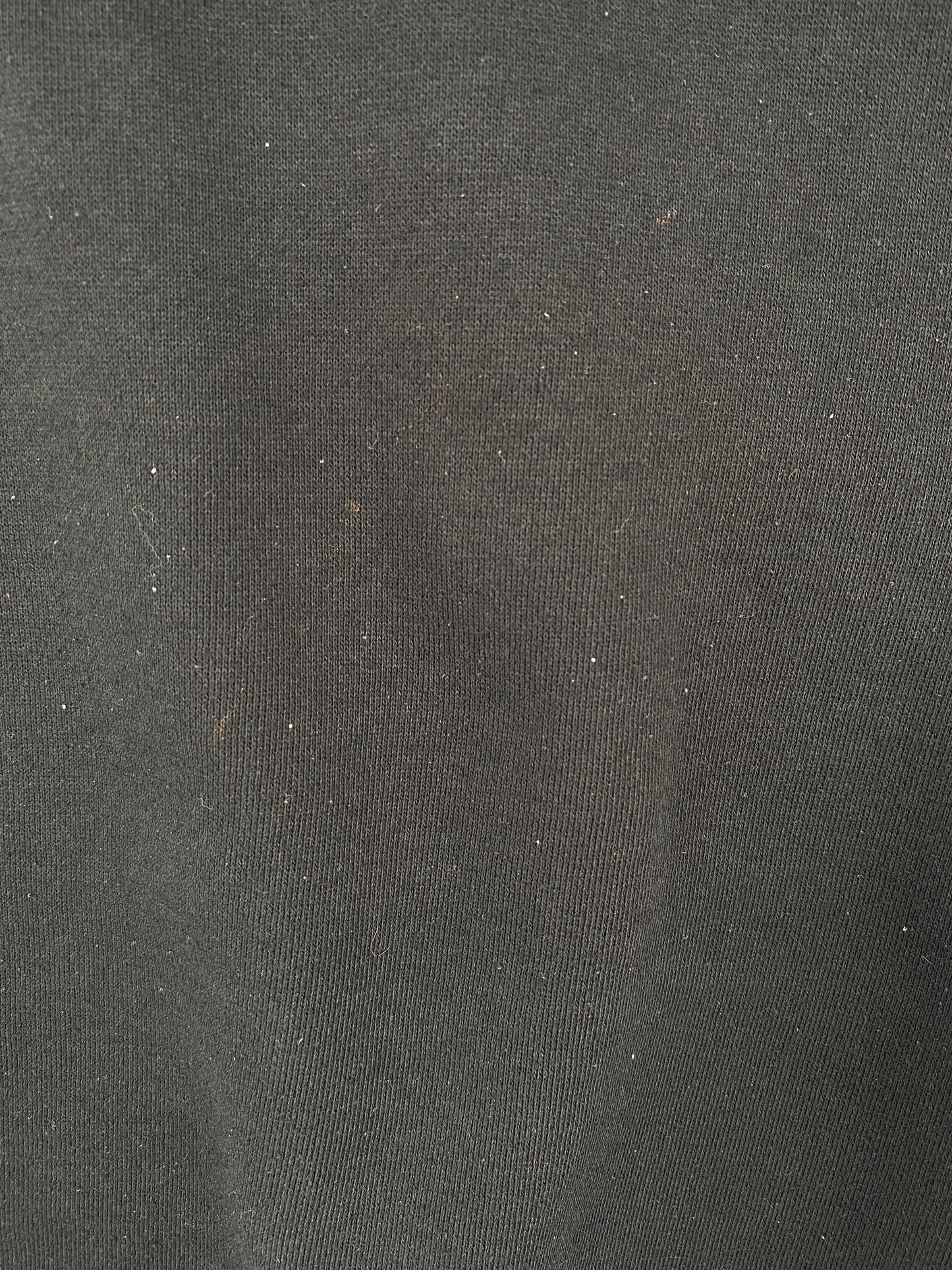 90’s STARTER x CHARLOTTE HORNETS Size L Vintage NBA Double Hoodie Sweat-shirt / A6936