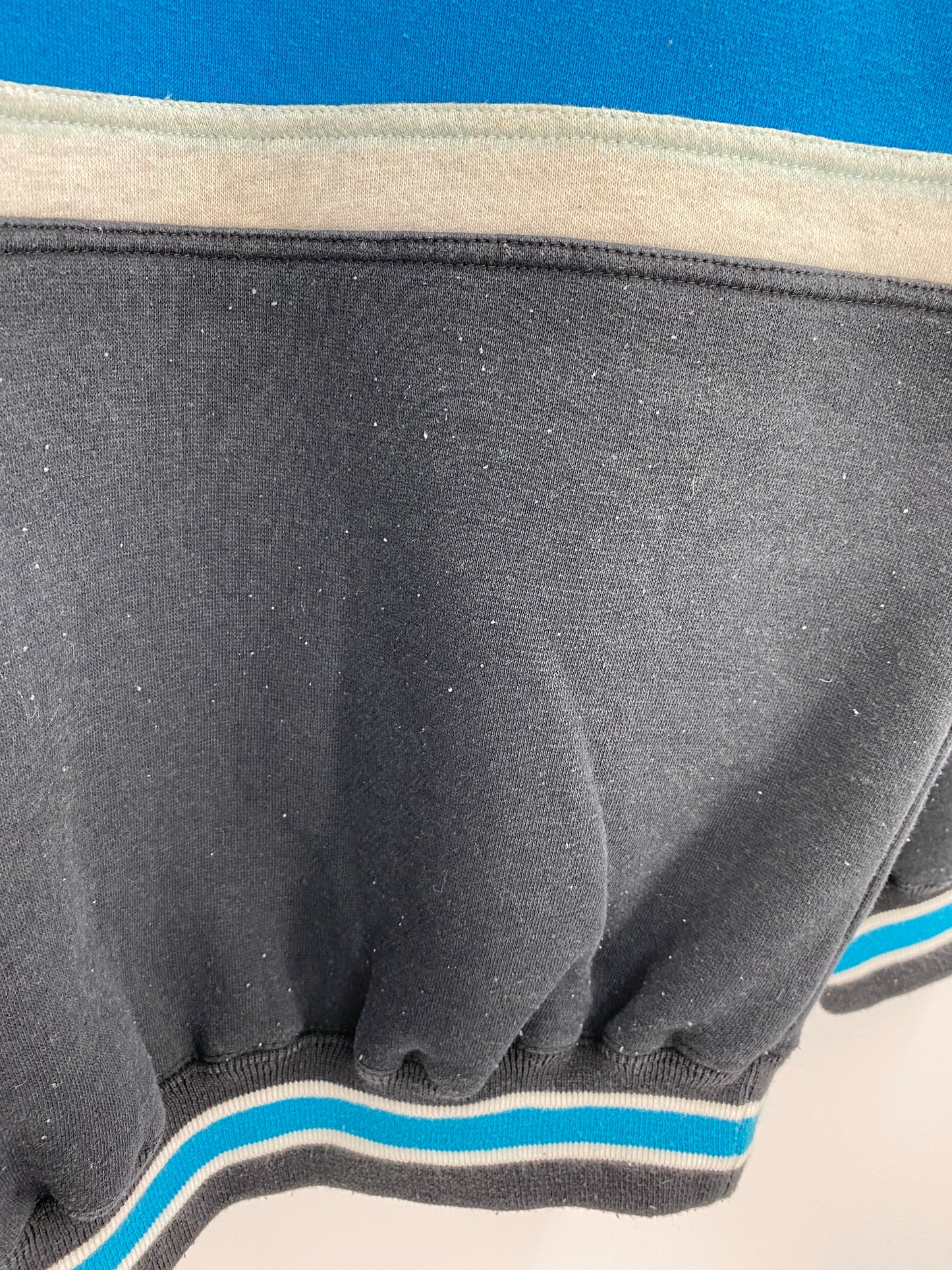 90’s CAROLINA PANTHERS Size L NFL Sweat-Shirt / K4274