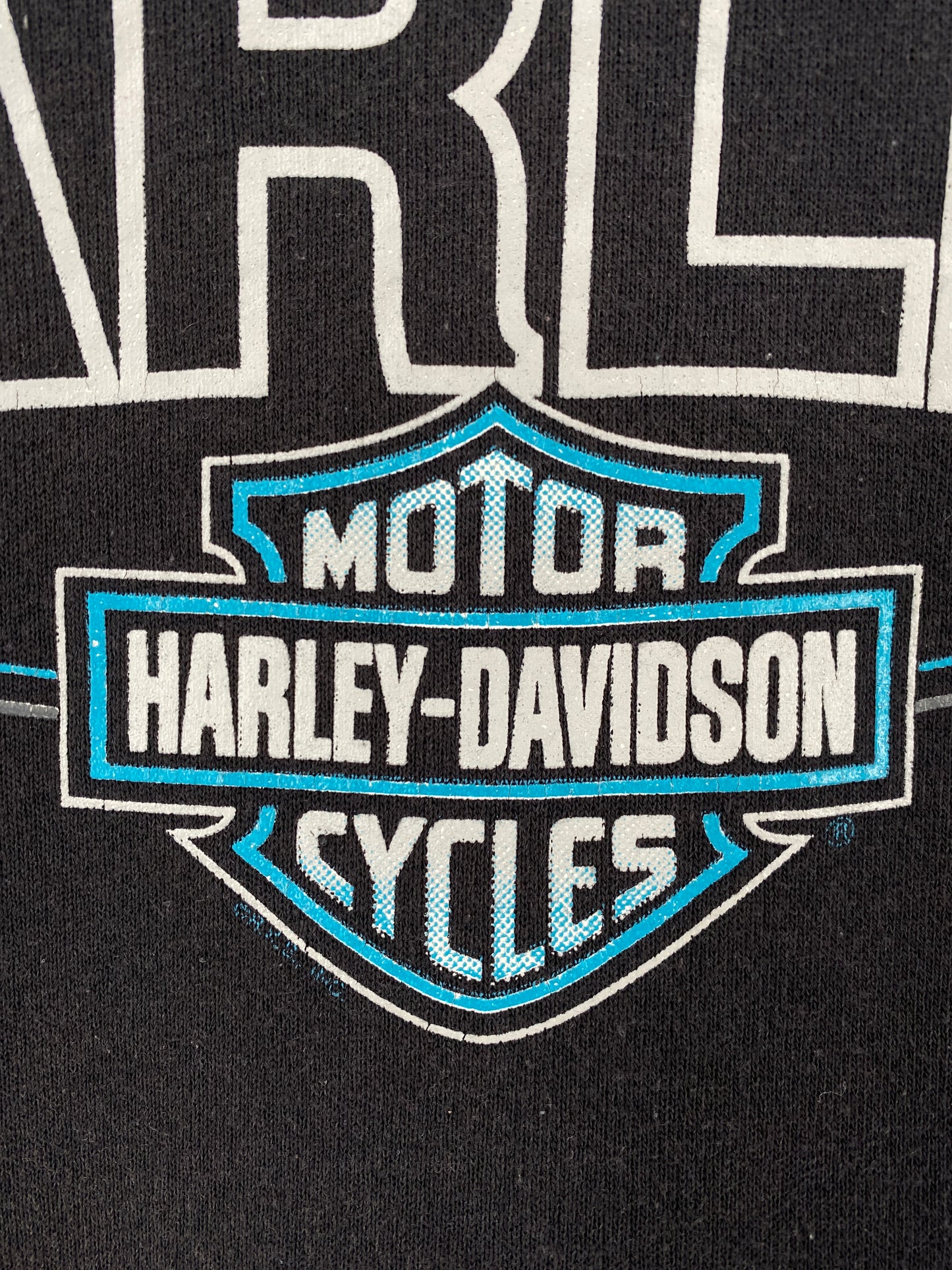 80’s HARLEY DAVIDSON (No tag) Approx. Size L Hoodie Sweat-Shirt / A9072