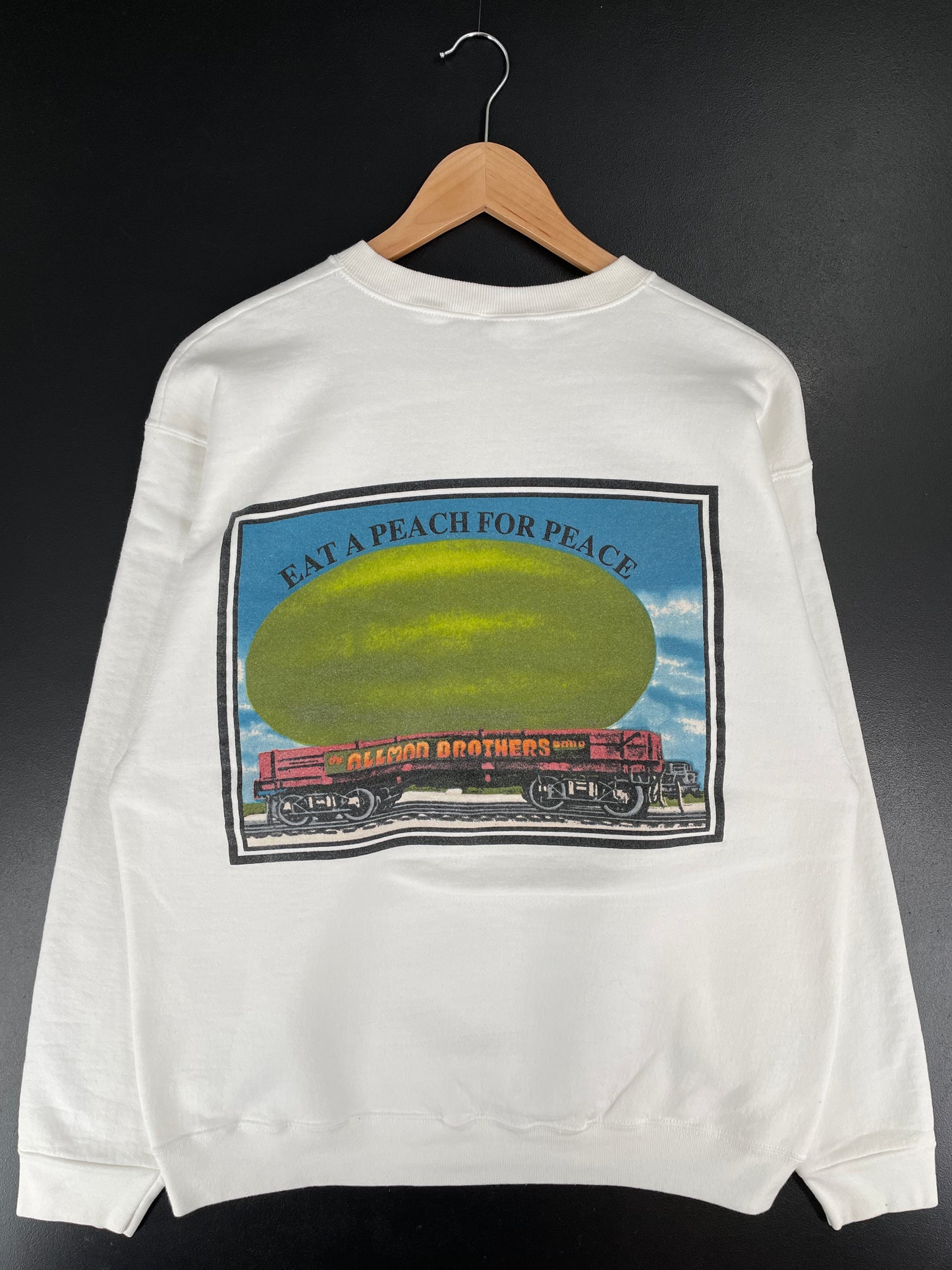 1995 ALLMAN BROTHERS BAND Size L Vintage Sweat-shirt / E6697S