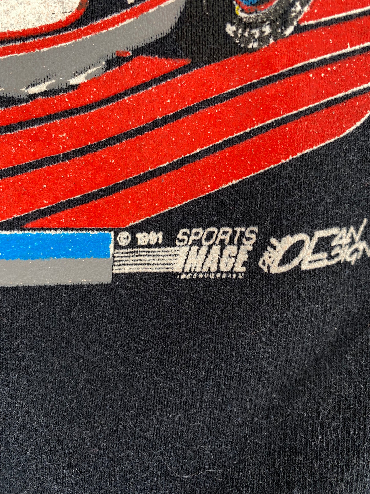 1991 NASCAR DALE EARNHARDT Made in USA Size XL Vintage Racing Sweat-Shirt / A2973