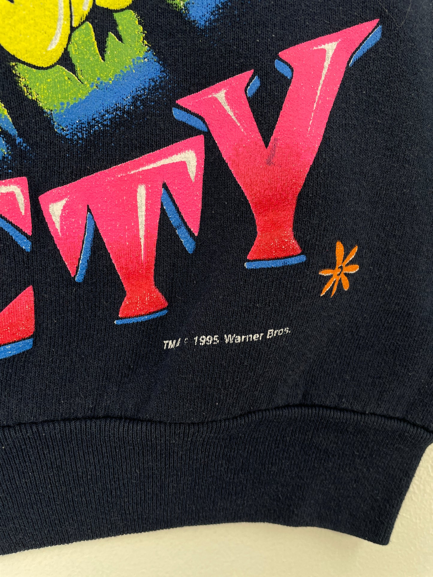 1995 LOONEY TUNES TWEETY Made in USA Size Kids.XL Vintage Sweat-Shirt / A8905