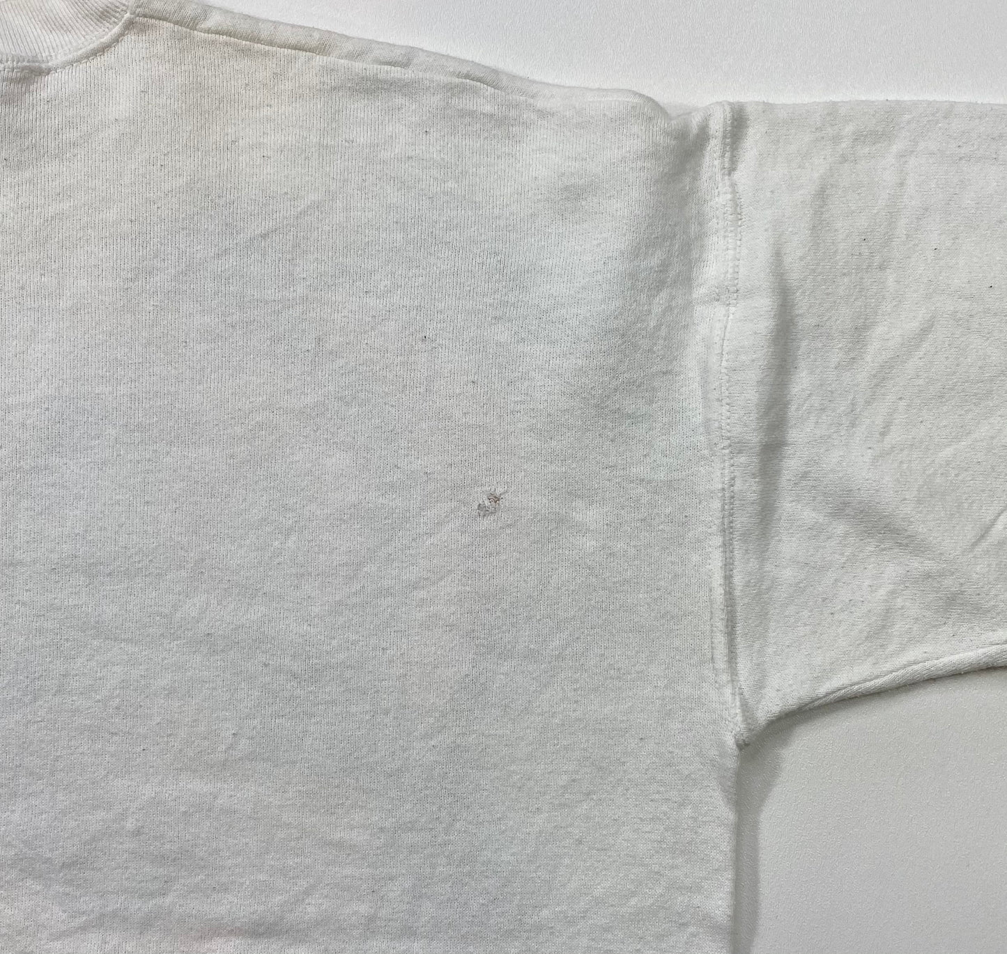 1995 TAZ Looney Tunes Size L Vintage Sweat-shirt / 6002