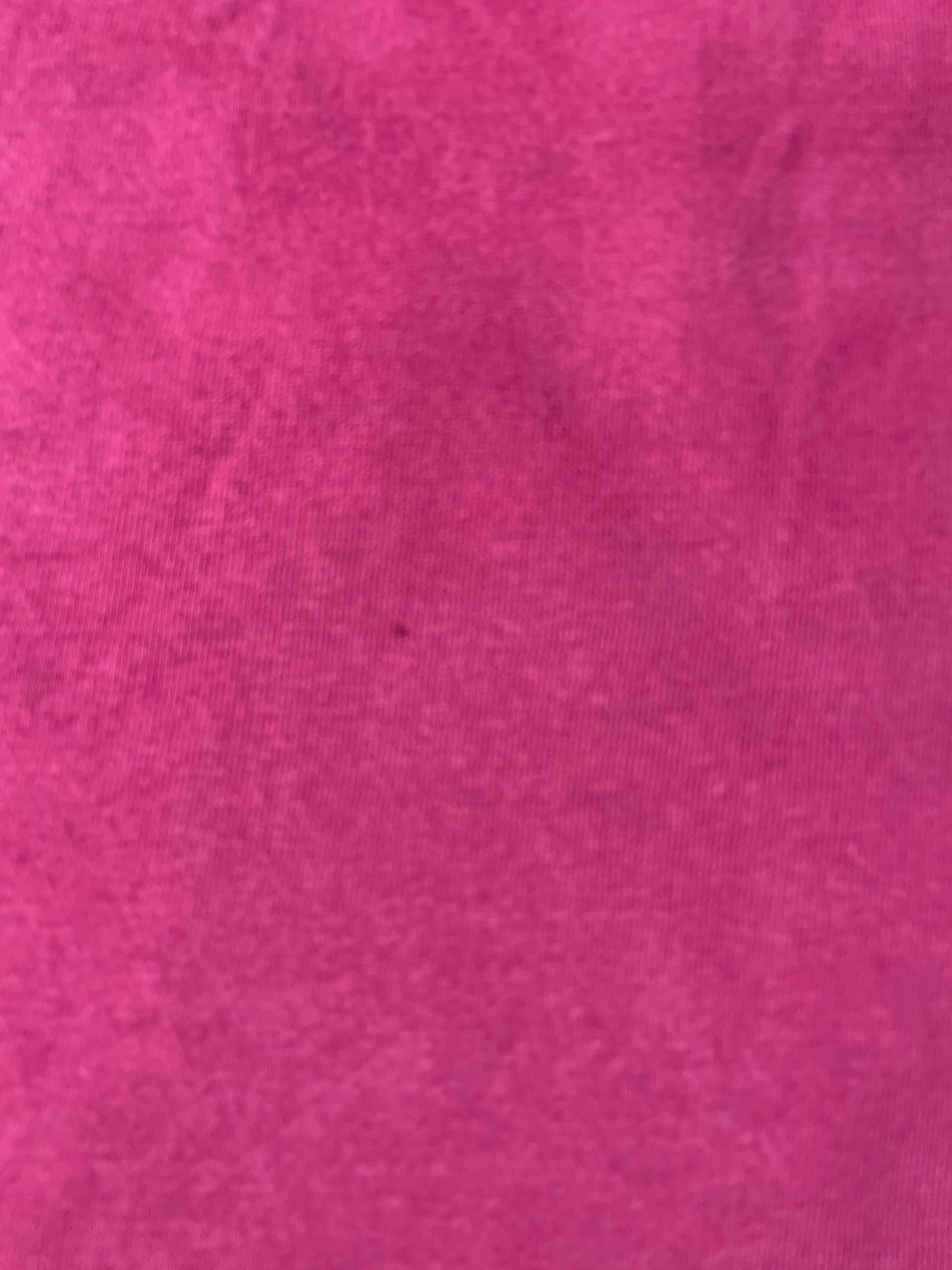 00’ NIKE FSU SEMINOLES Size XL Vintage Sweat-Shirt / K3562