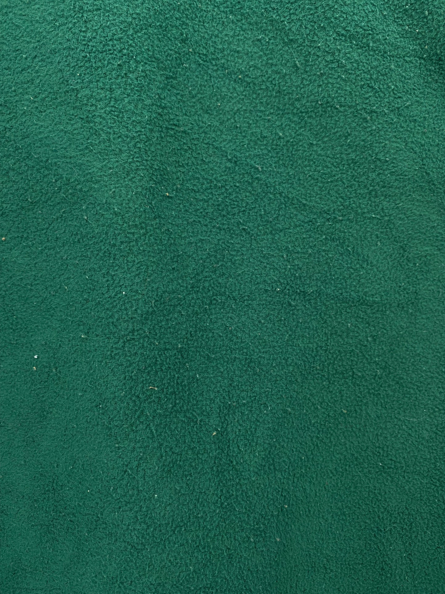 00’ NIKE NEW YORK JETS Size L Vintage NFL Fleece Sweat / K5851