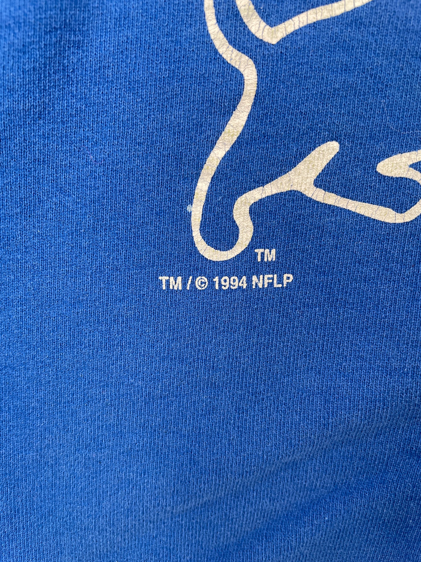 1994 SALEM x DETROIT LIONS Made in USA Size L Vintage NFL Sweat-Shirt / A7822