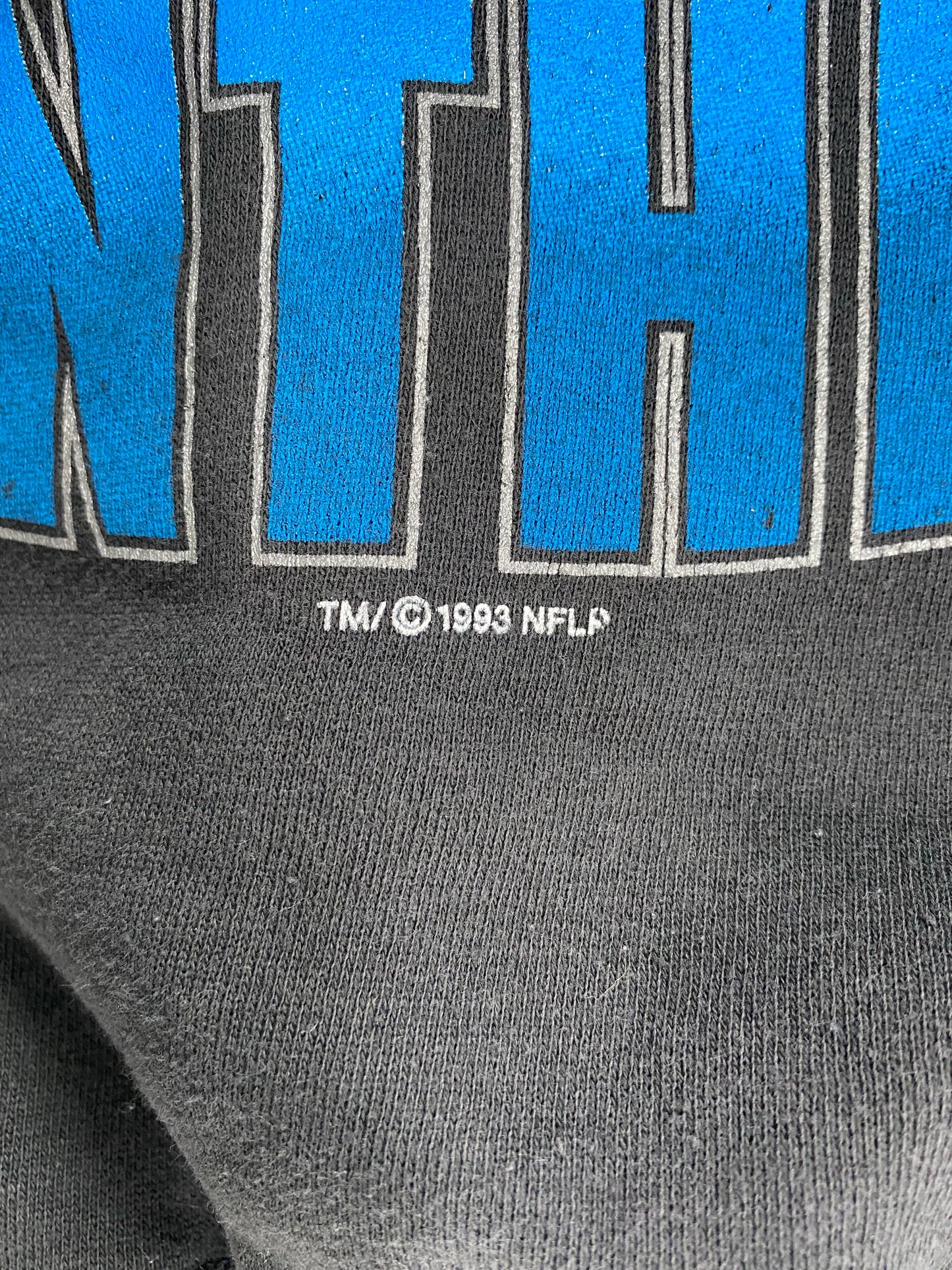 1993 STARTER x CAROLINA PANTHERS Size L Vintage NFL Sweat-Shirt / K4142