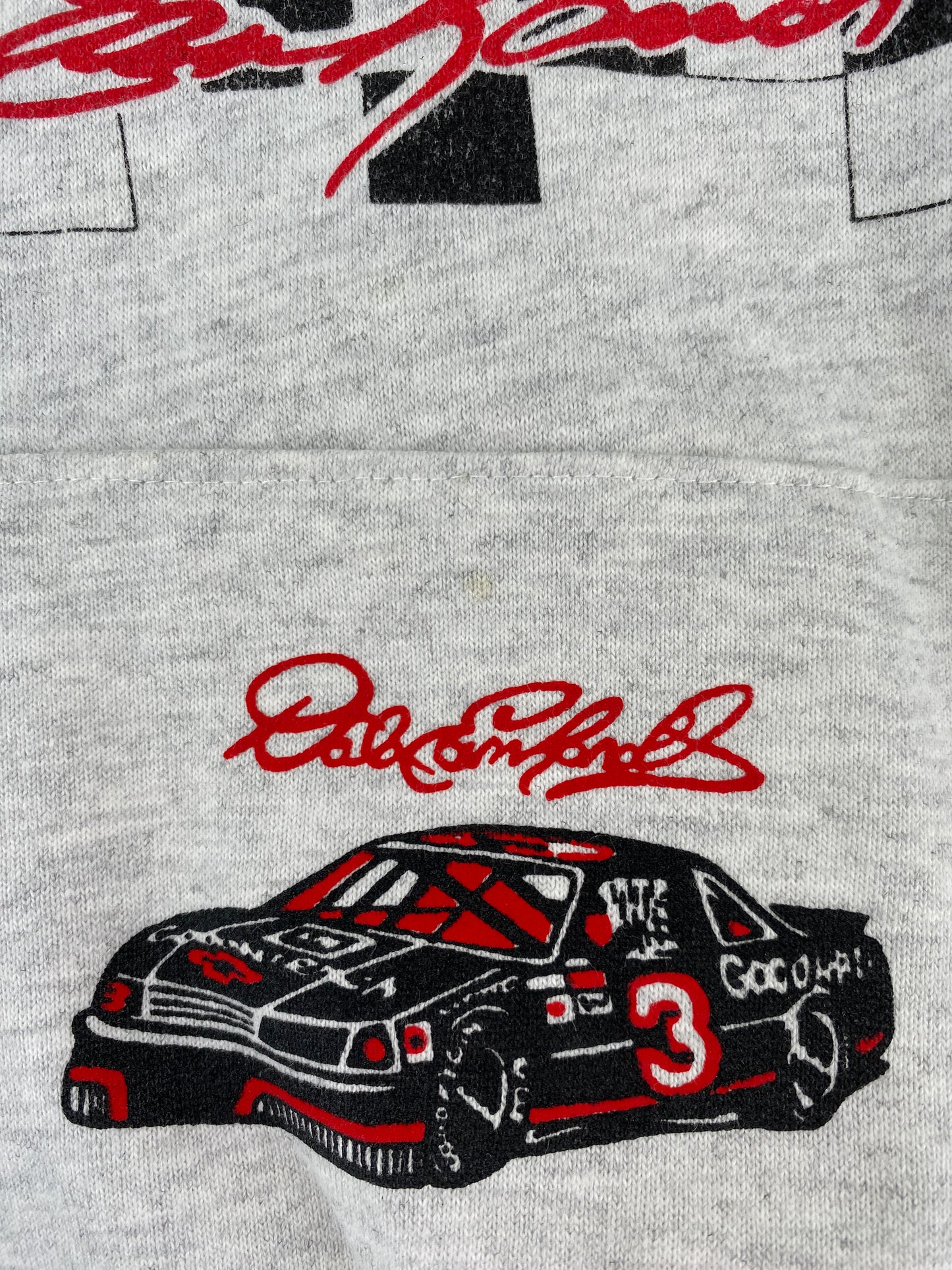 Vintage DALE EARNHARDT Size XL Ranig Hoodie Sweat-Shirt / E5654S