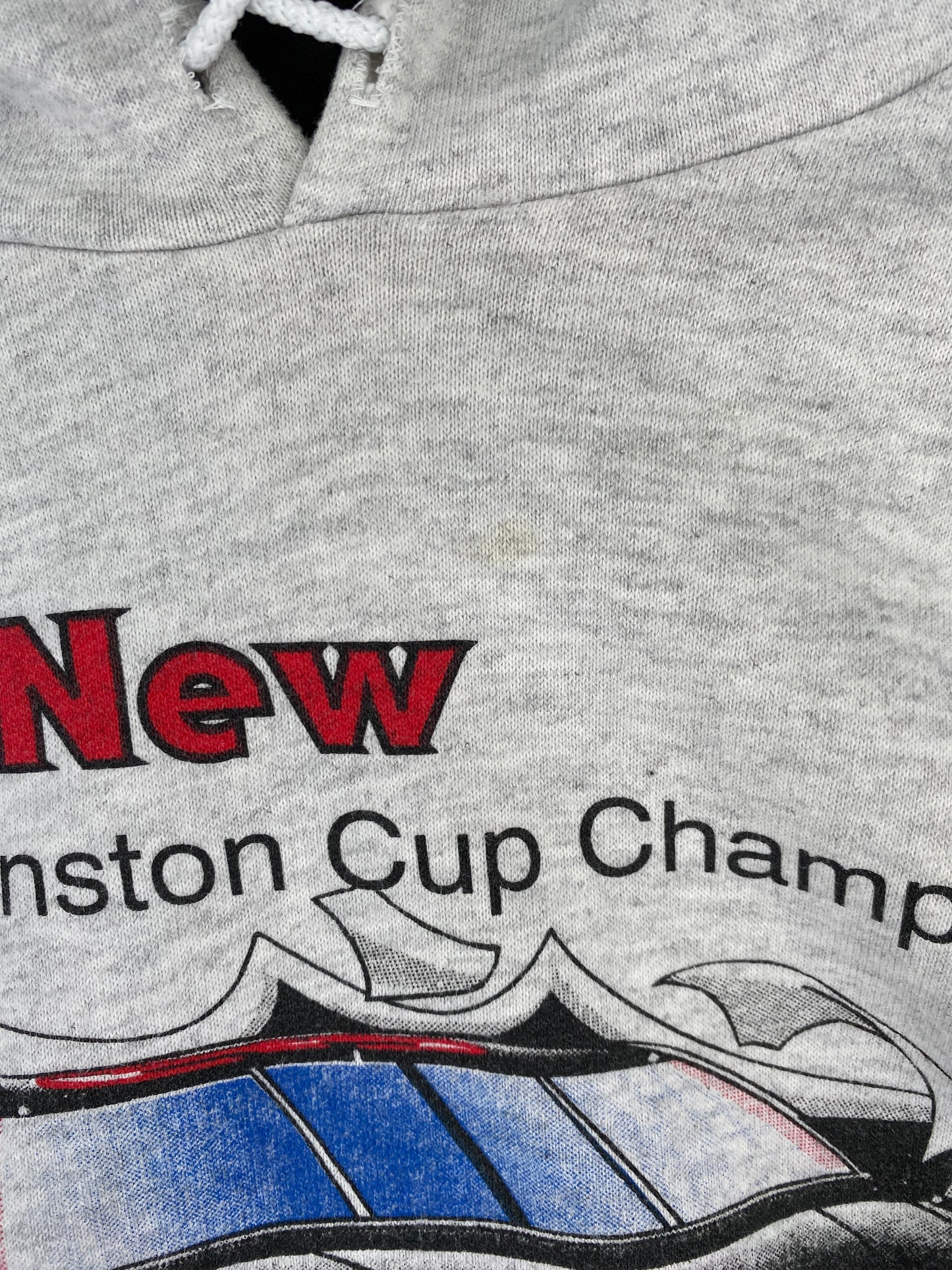 Vintage DALE EARNHARDT Size XL Ranig Hoodie Sweat-Shirt / E5654S