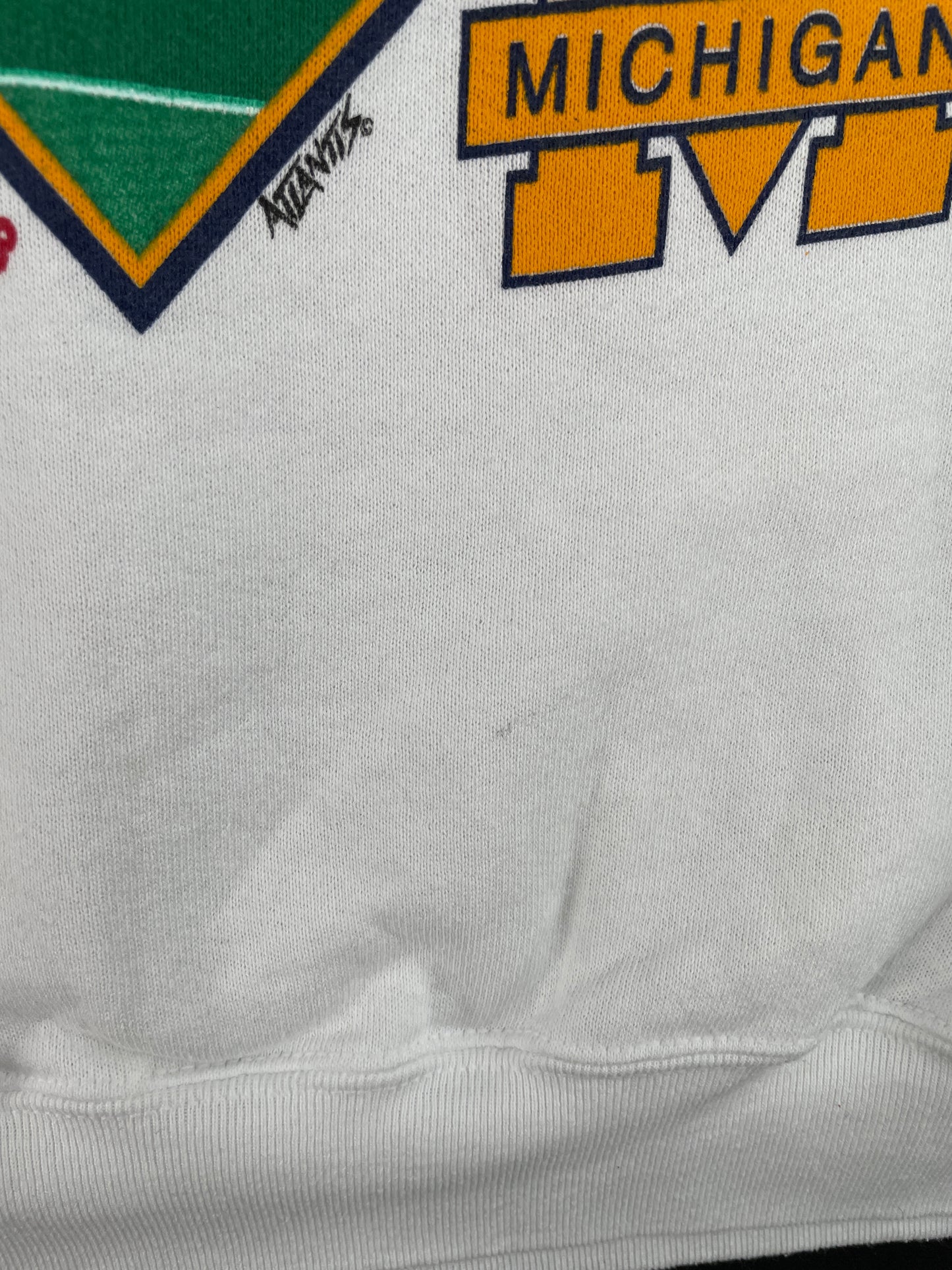 1998 MICHIGAN ROSE BOWL Size XXL Vintage College Sweat Shirt / E4909S