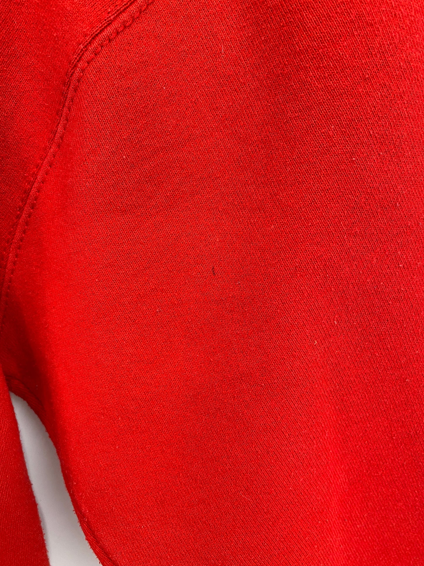 1995 SALEM x SAN FRANCISCO 49ERS Made in USA Size L NFL Sweat-Shirt / E481