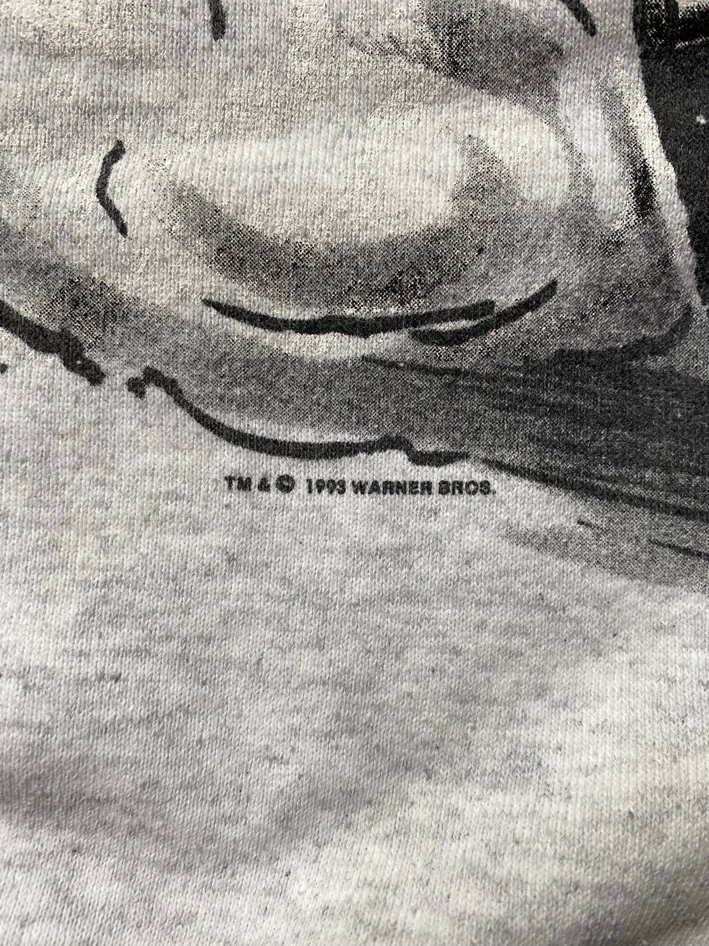 1993 LOONEY TUNES TWEETY Made in USA Size L Vintage Sweat-shirt / K9208