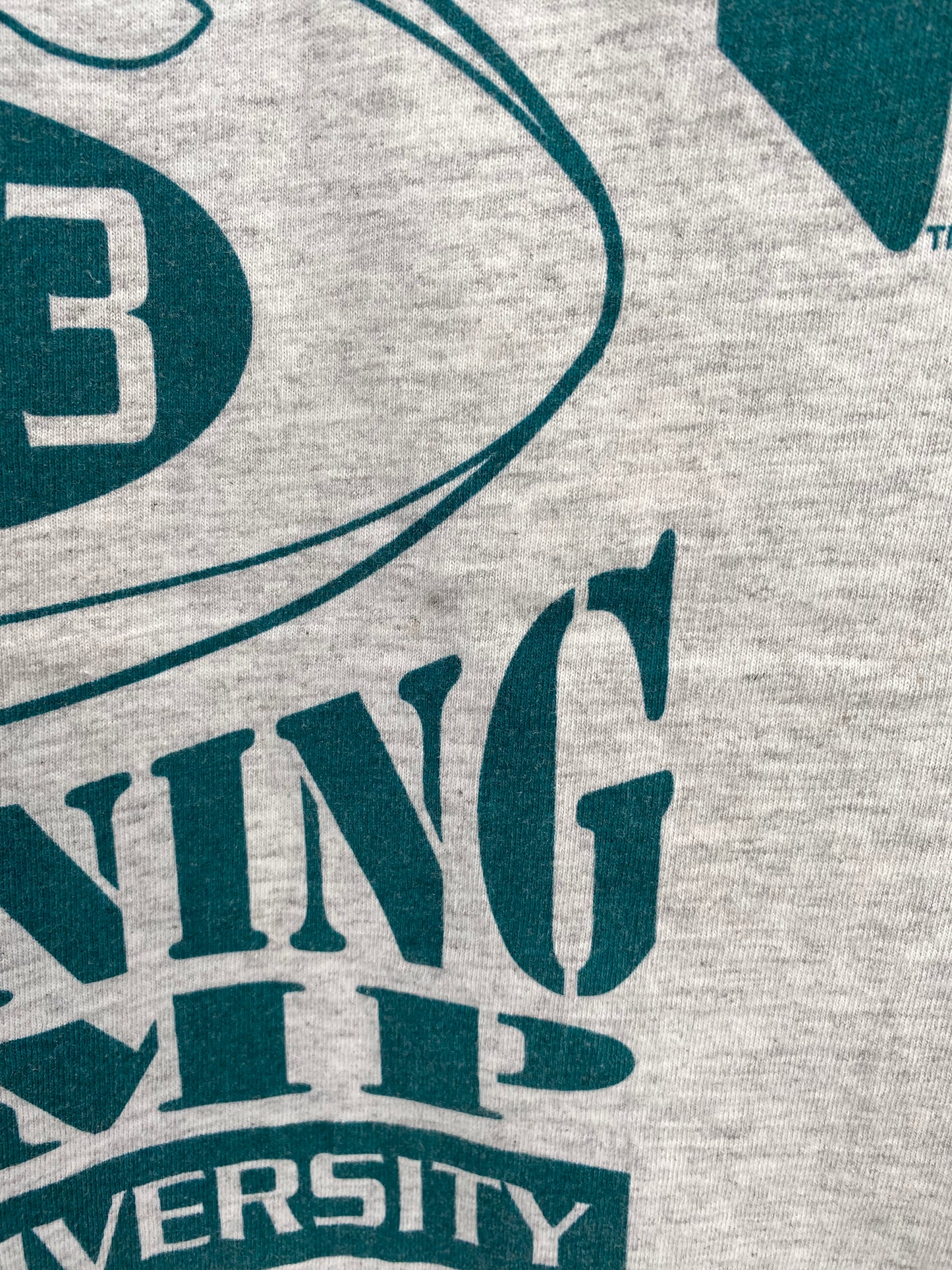 1993 MIAMI DOLPHINS Made in USA Size L Vintage NFL T-shirt / A171