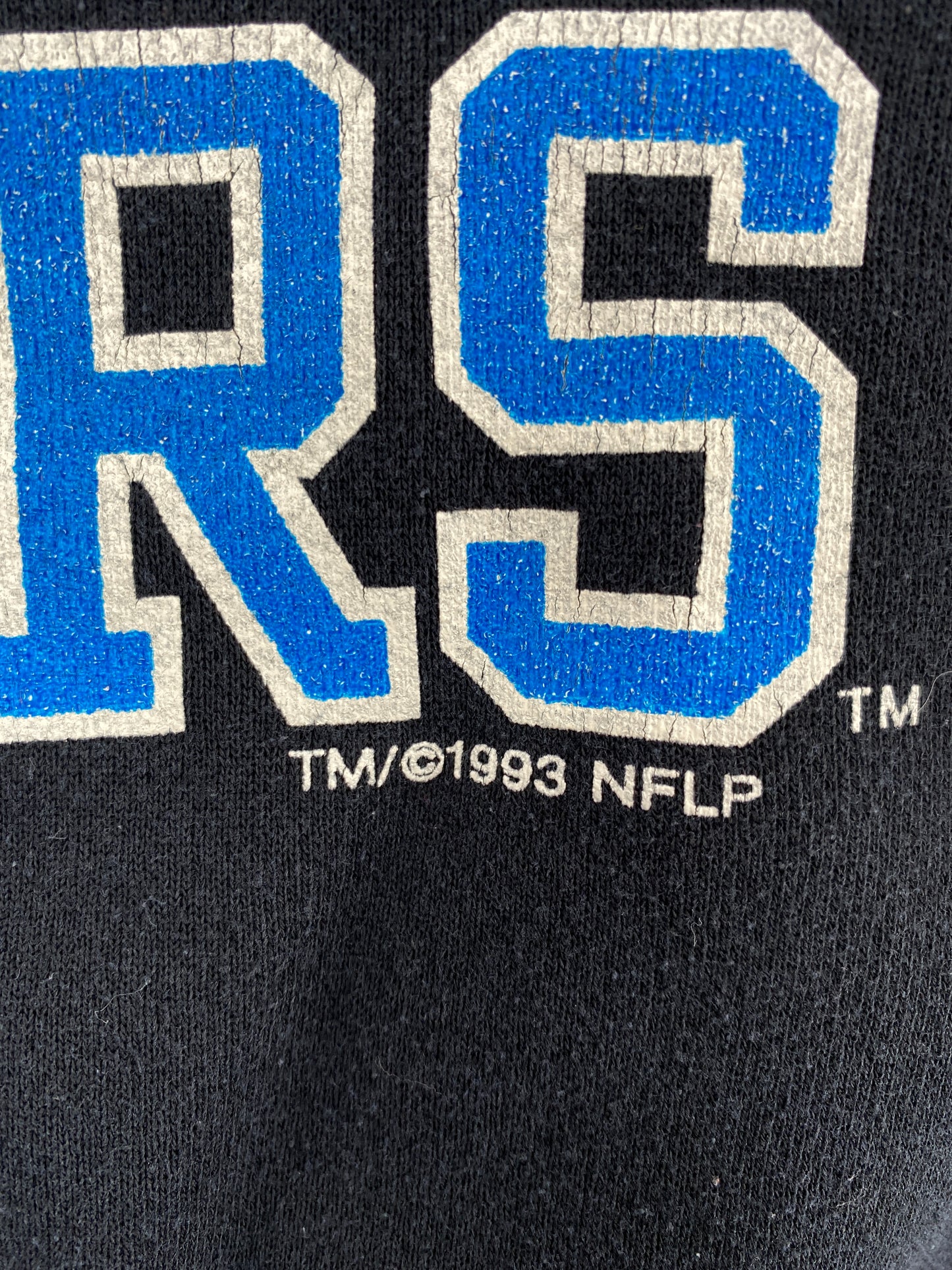 1993 CAROLINA PANTHERS Size XL Vintage NFL Sweat-Shirt / A5841