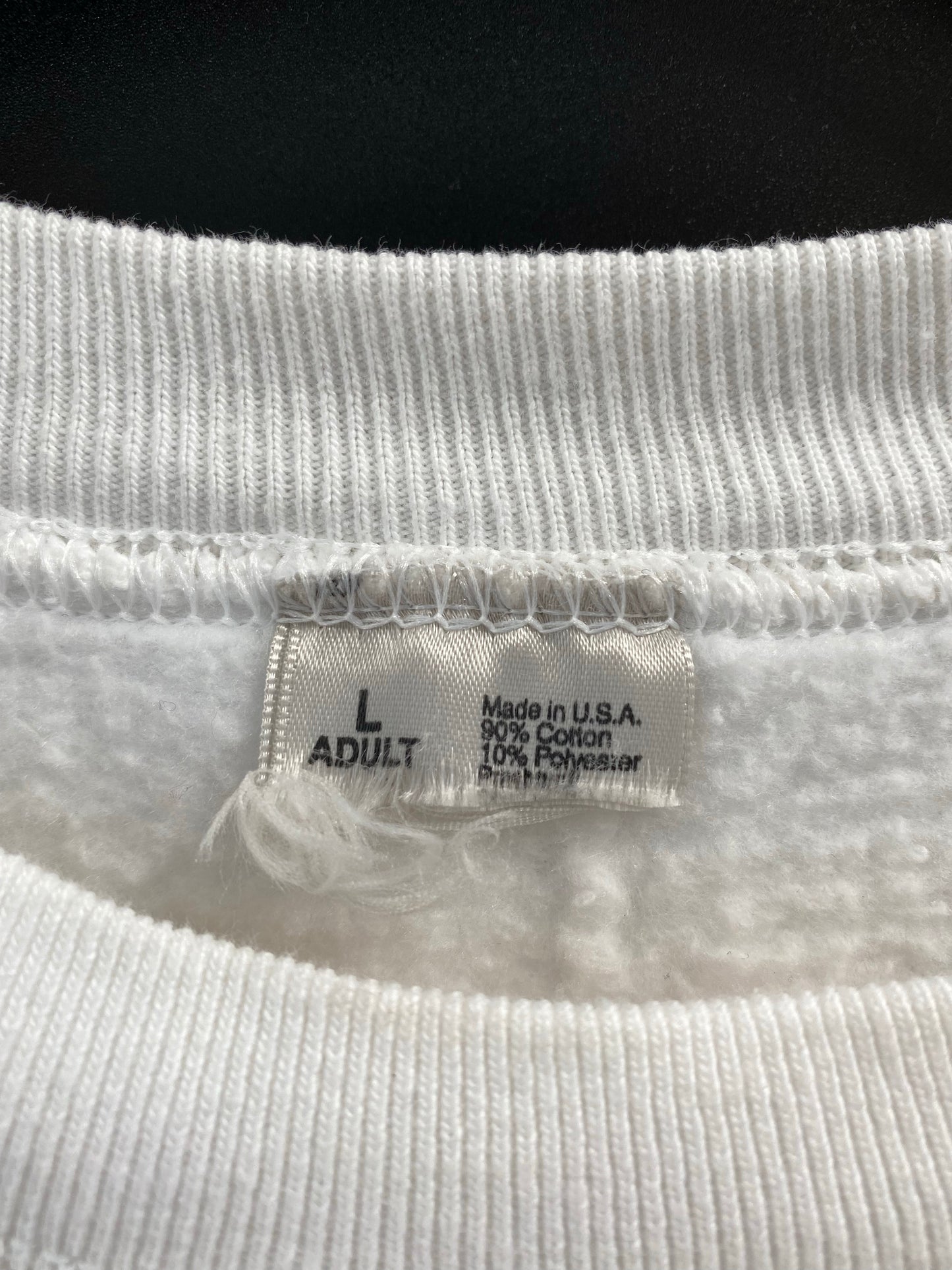 1998 SUPER BOWL GREEN BAY PACKERS X DENVER BRONCOS Size L Vintage NFL Sweat-Shirts / K7127