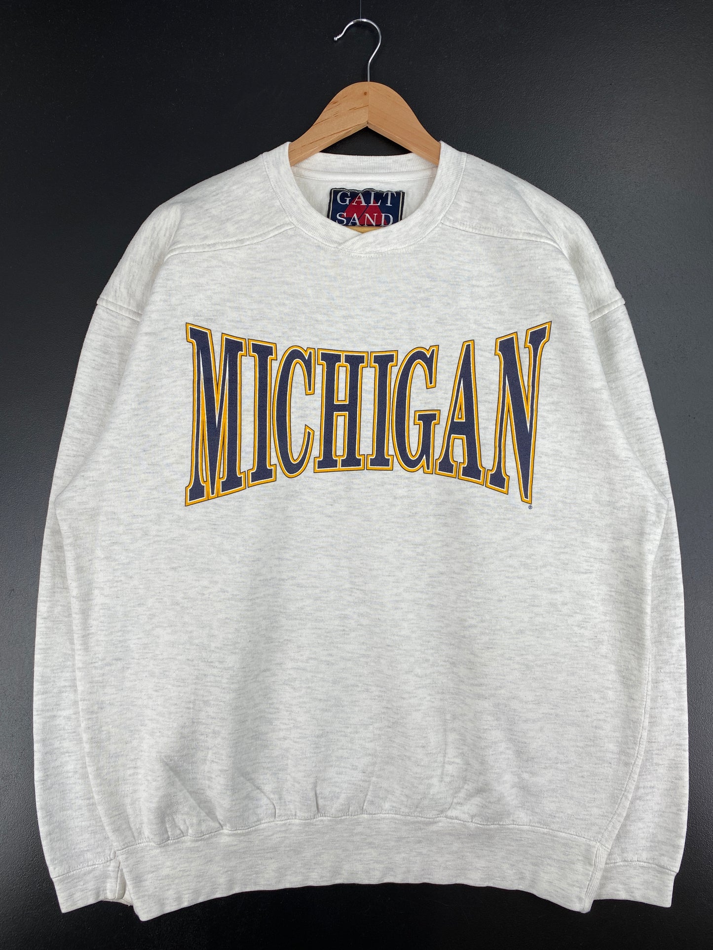 Vintage MICHIGAN Size L College Sweat-Shirt / A3400