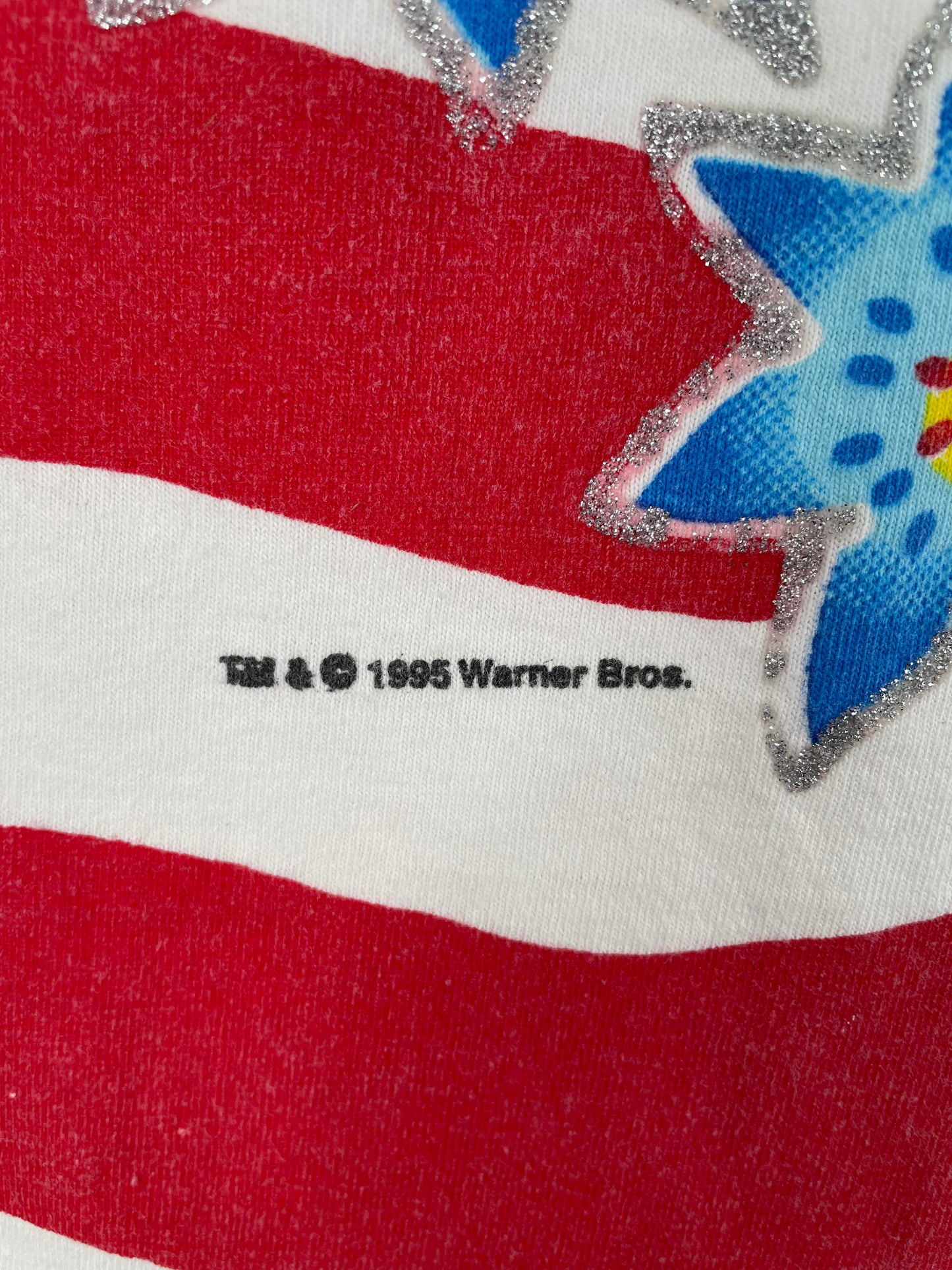 1995 LOONEY TUNES TWEETY Made in USA Size L Vintage T-Shirt / A2159