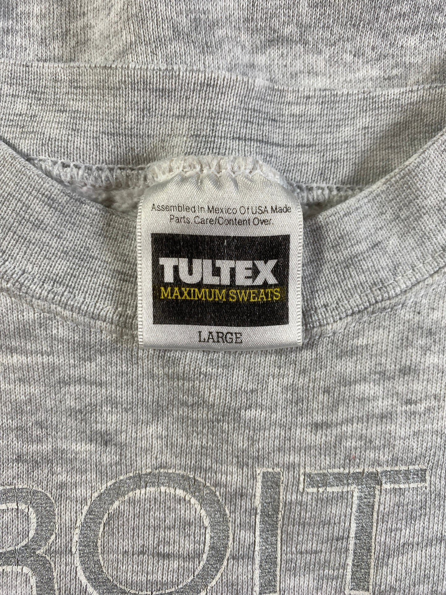 1994 DETROIT LIONS x LOONEY TUNES TAZ Size L Vintage NFL Sweat-Shirt / E5987S